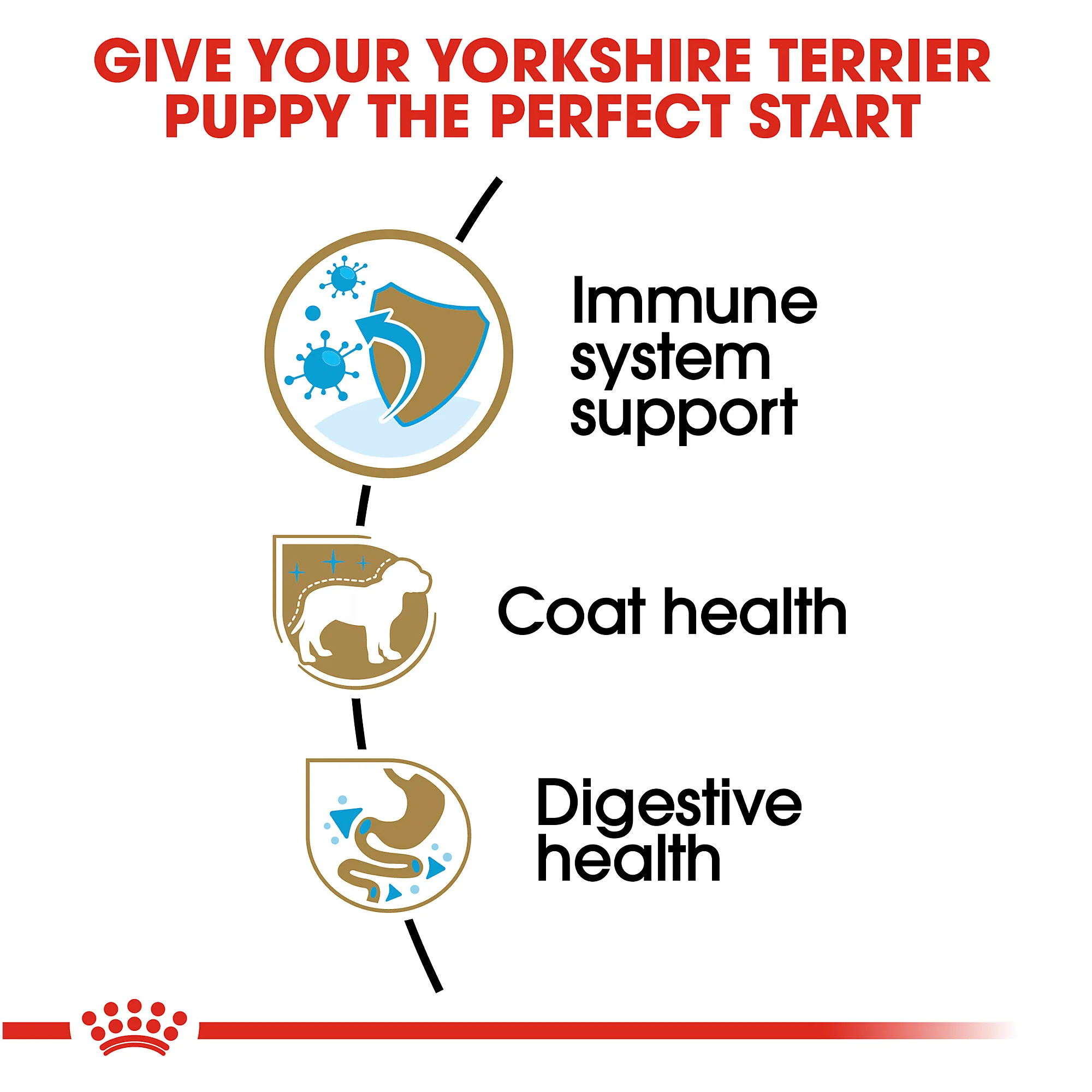 Royal Canin Yorkshire Terrier Puppy Breed Specific Dry Dog Food - Image 6