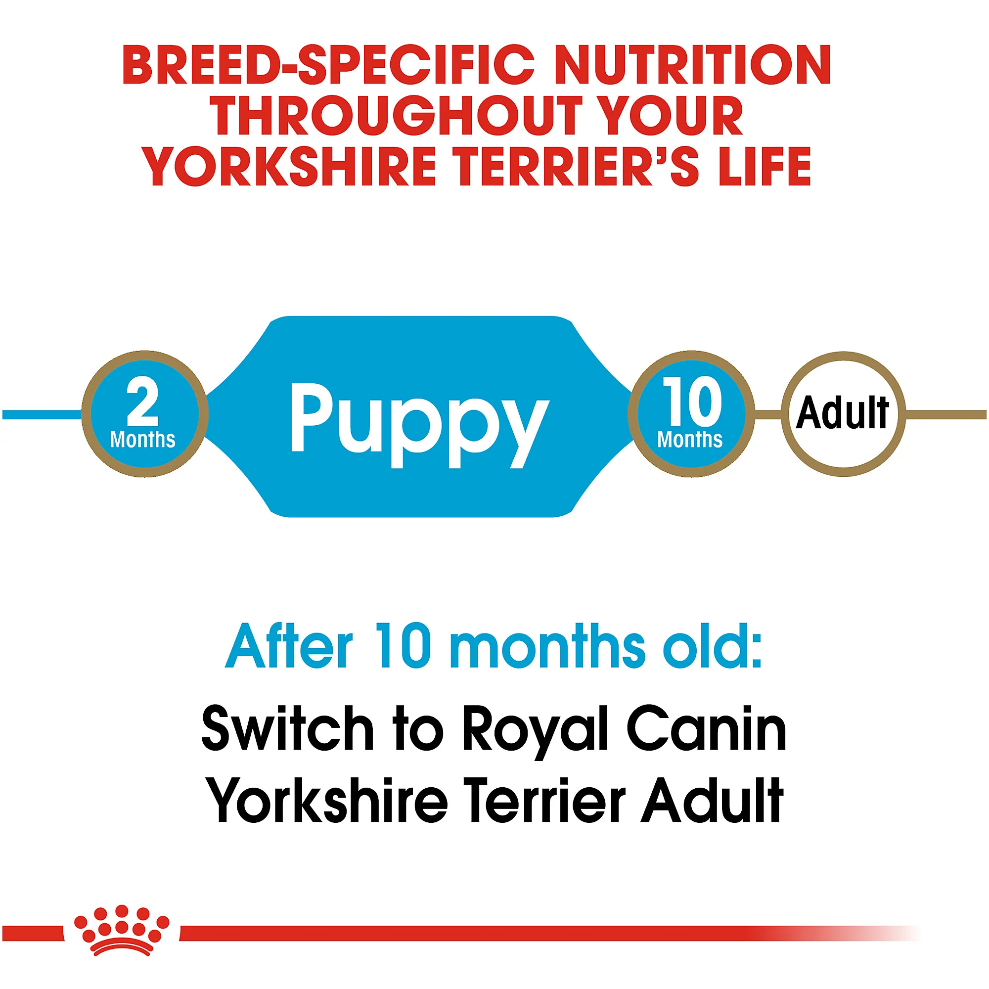 Royal Canin Yorkshire Terrier Puppy Breed Specific Dry Dog Food - Image 7