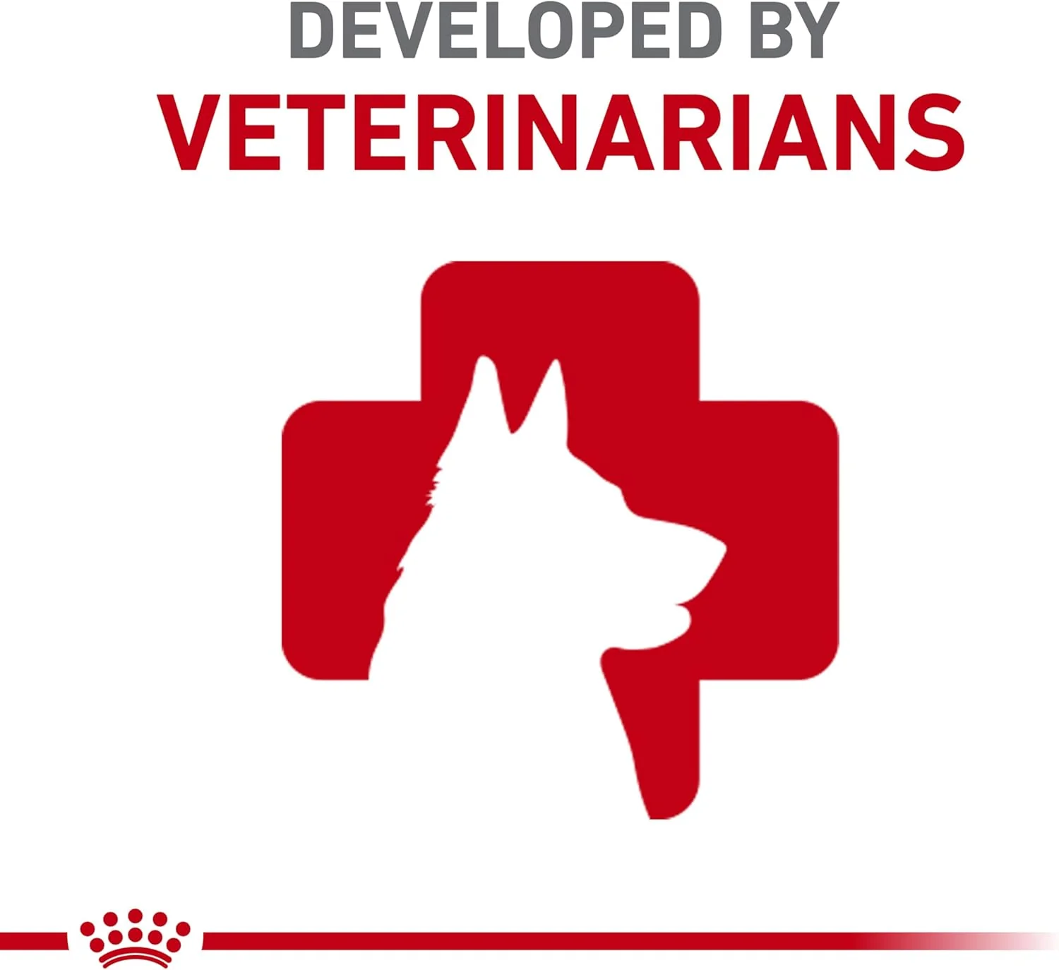 Royal Canin Dachshund Adult Breed Specific Wet Dog Food - Image 5