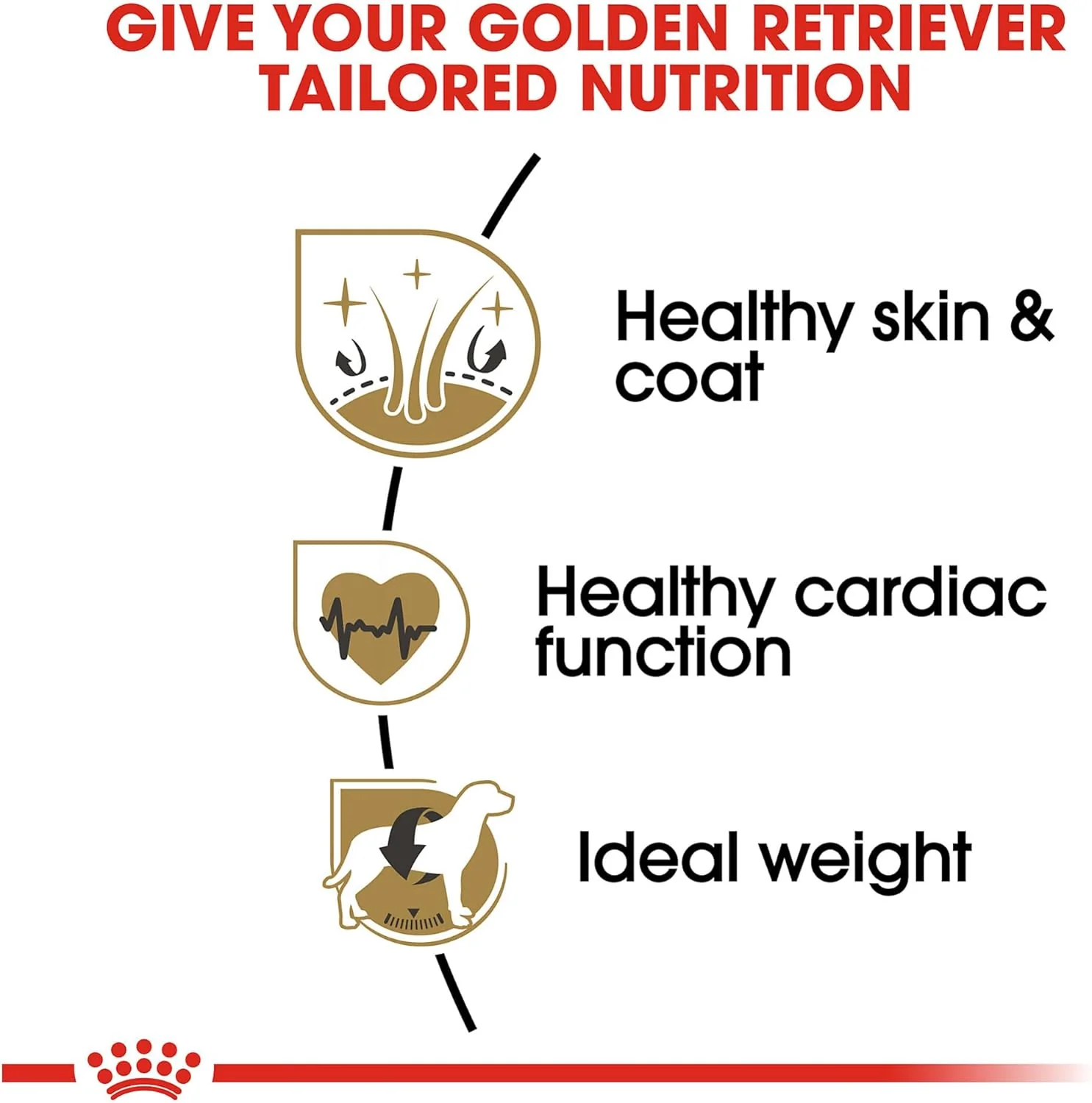 Royal Canin Golden Retriever Adult Dry Dog Food - Image 4