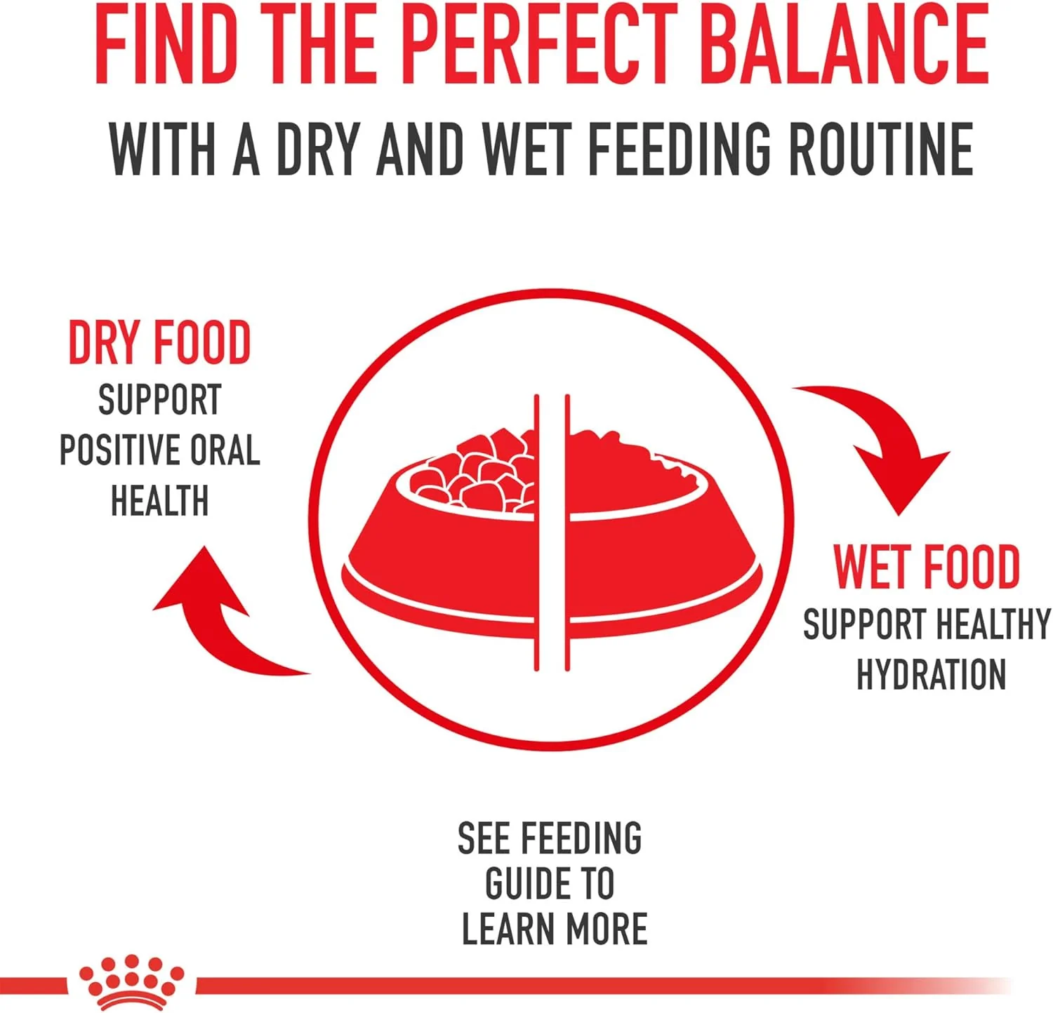 Royal Canin Golden Retriever Adult Dry Dog Food - Image 5