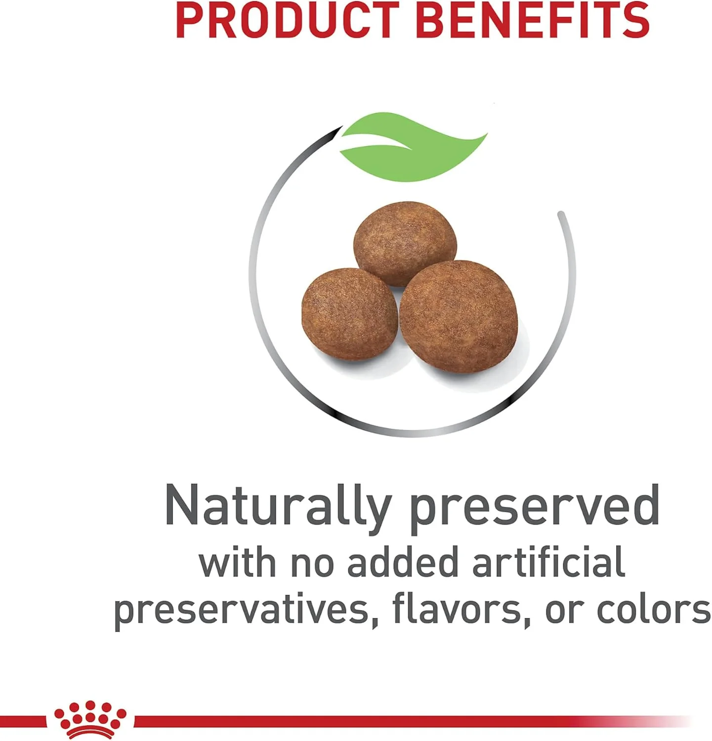 Royal Canin Size Health Nutrition Dry Large Breed Puppy Food, Supports Brain Development, Immune Support and Digestive Health - Image 5