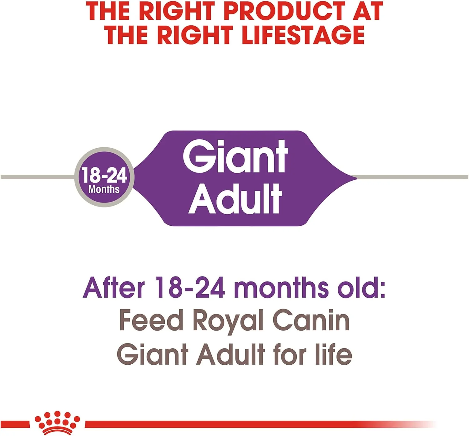 Royal Canin Size Health Nutrition Giant Adult Dog Food Dry, Extra-Large Dog Food Supports Bone and Joint Health, Digestive Health and a Healthy Heart - Image 5
