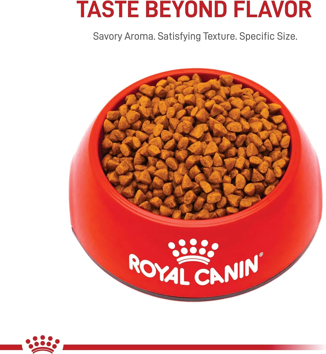 Royal Canin Size Health Nutrition X-Small Breed Dry Puppy Food, Supports Brain Development, Immune Support and Digestive Health - Image 10