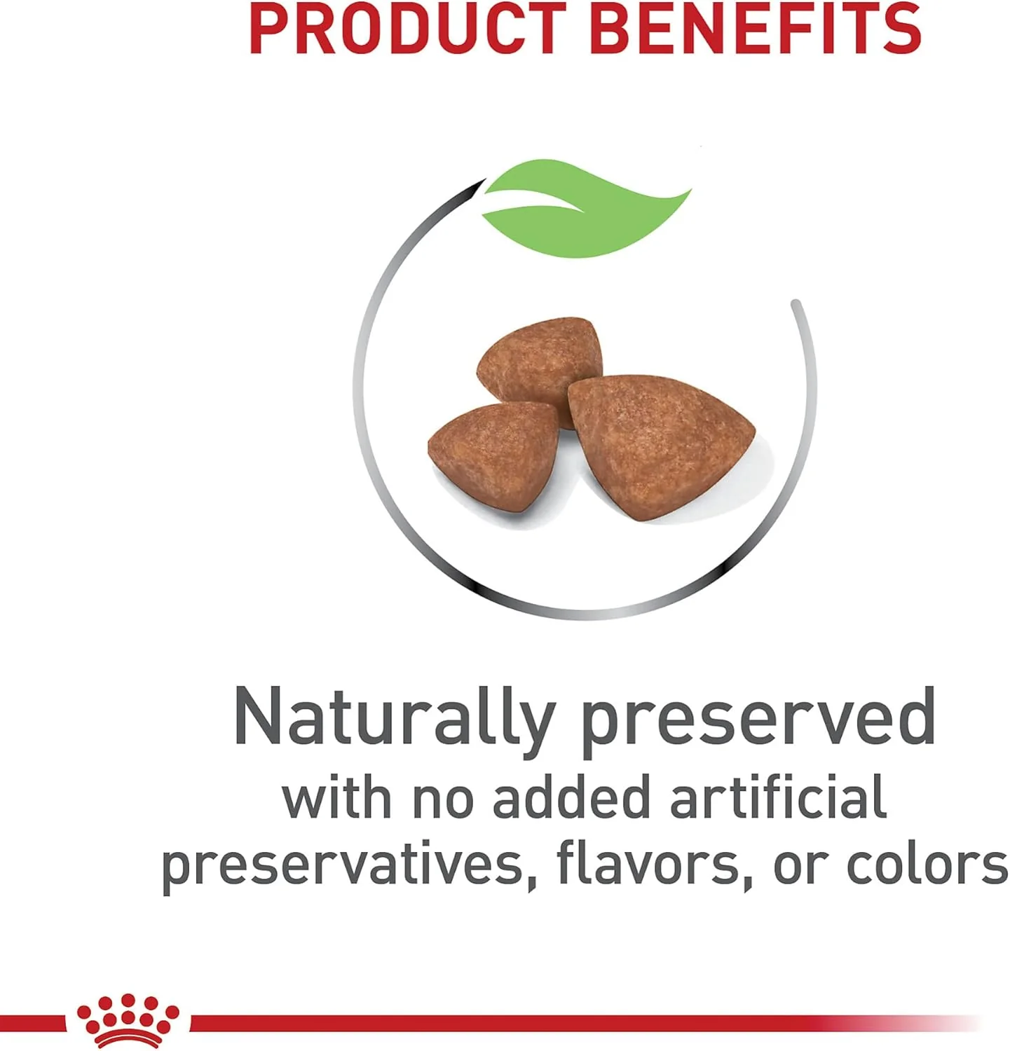 Royal Canin Size Health Nutrition X-Small Breed Dry Puppy Food, Supports Brain Development, Immune Support and Digestive Health - Image 4