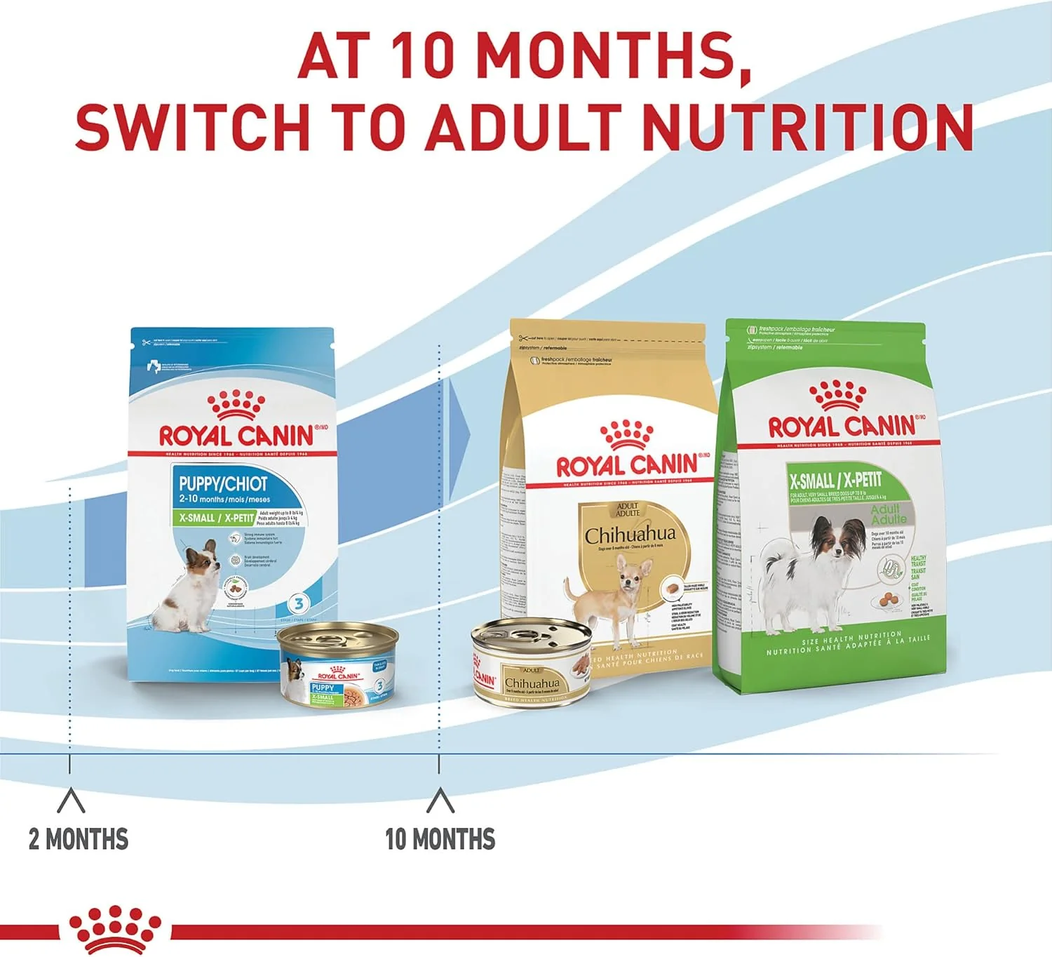 Royal Canin Size Health Nutrition X-Small Breed Dry Puppy Food, Supports Brain Development, Immune Support and Digestive Health - Image 6