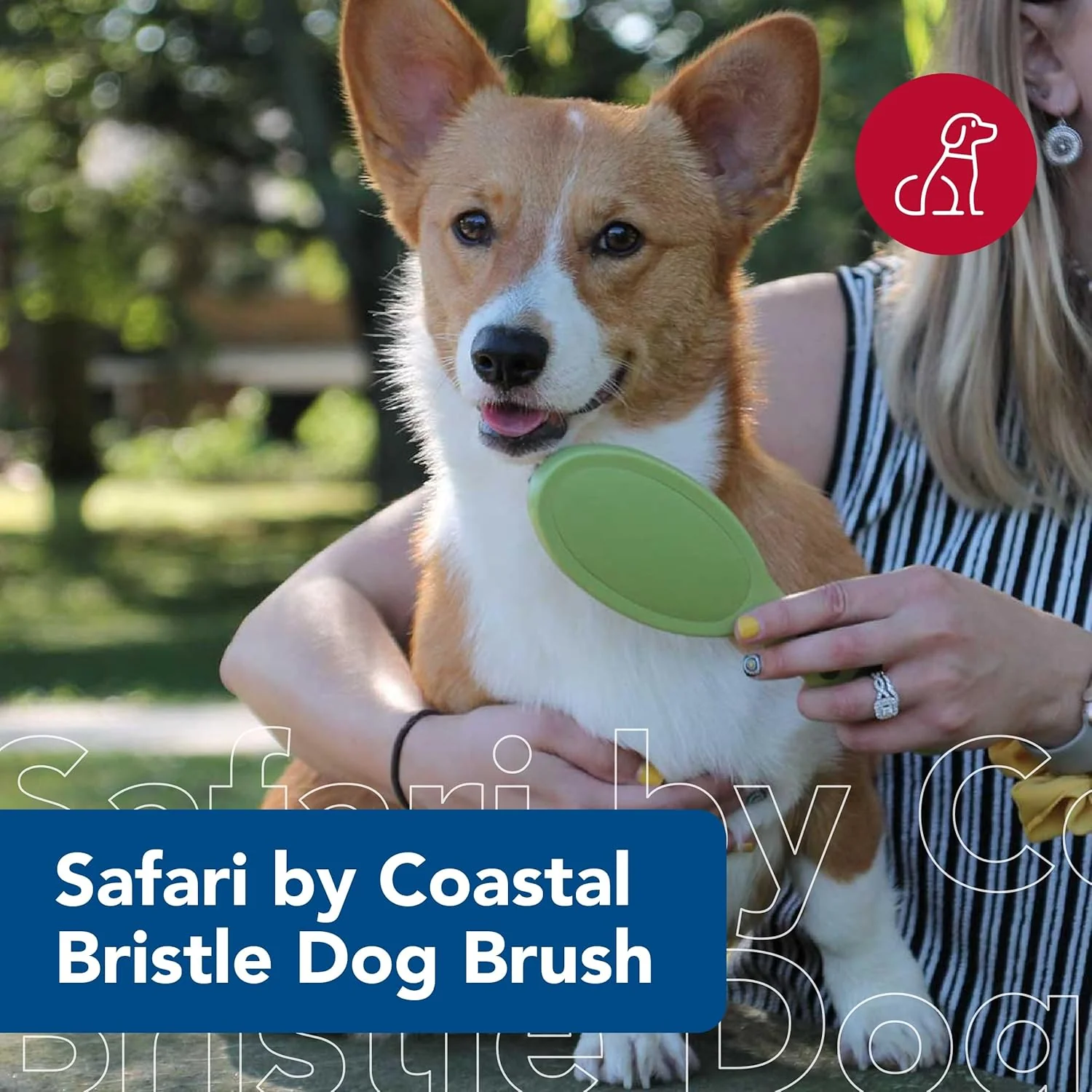 Safari Bristle Dog Brush - Gentle Grooming Brush for All Coat Types - Removes Dog Hair & Offers Natural Oil Distribution - Image 2