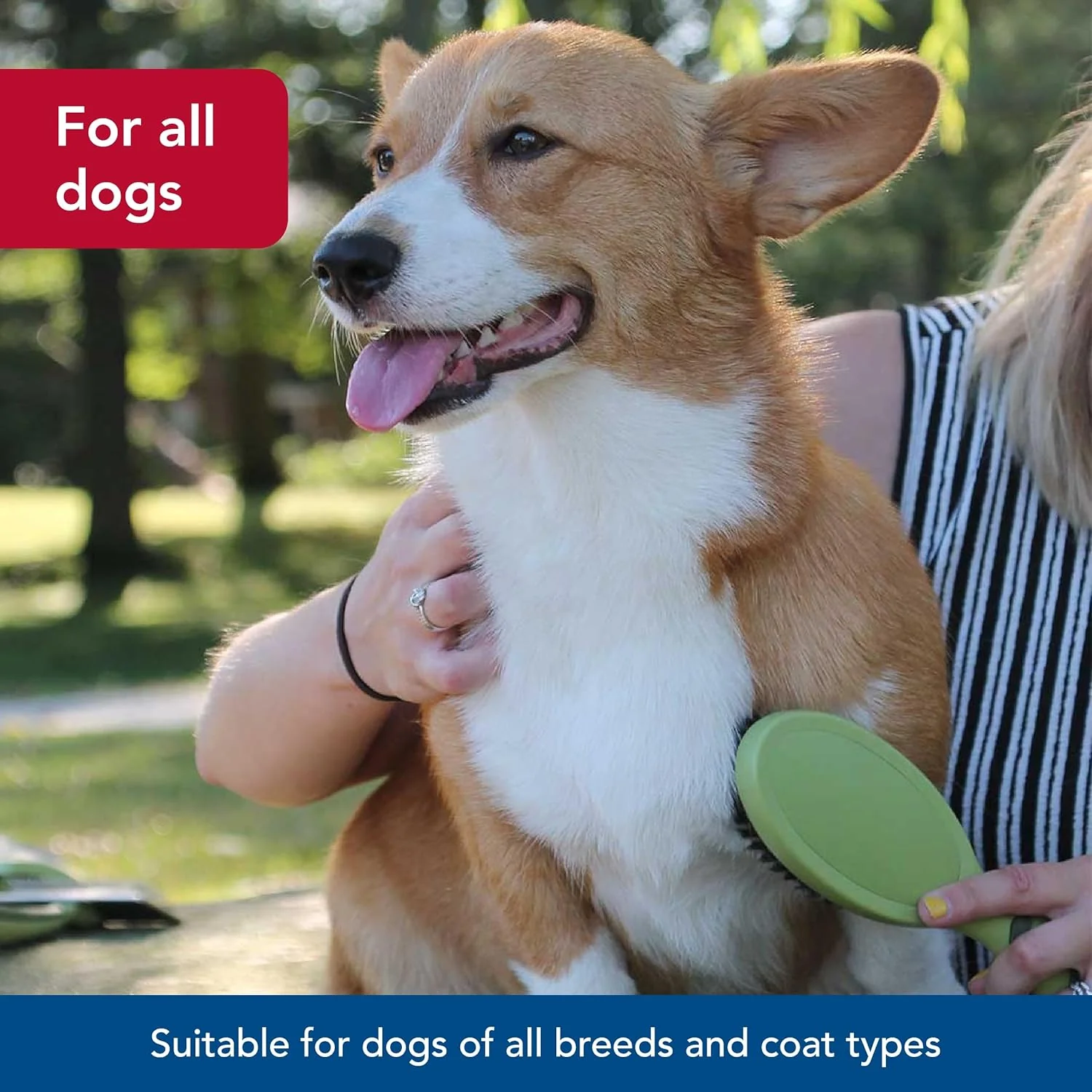 Safari Bristle Dog Brush - Gentle Grooming Brush for All Coat Types - Removes Dog Hair & Offers Natural Oil Distribution - Image 3