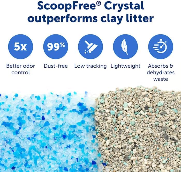 ScoopFree by PetSafe Complete Classic Auto Self-Cleaning Litter Box, Large - Image 5