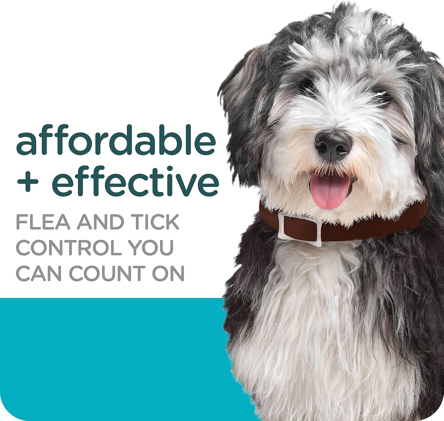 Sergeant's Guardian Flea & Tick Collar for Dogs, 1 Count - Image 4
