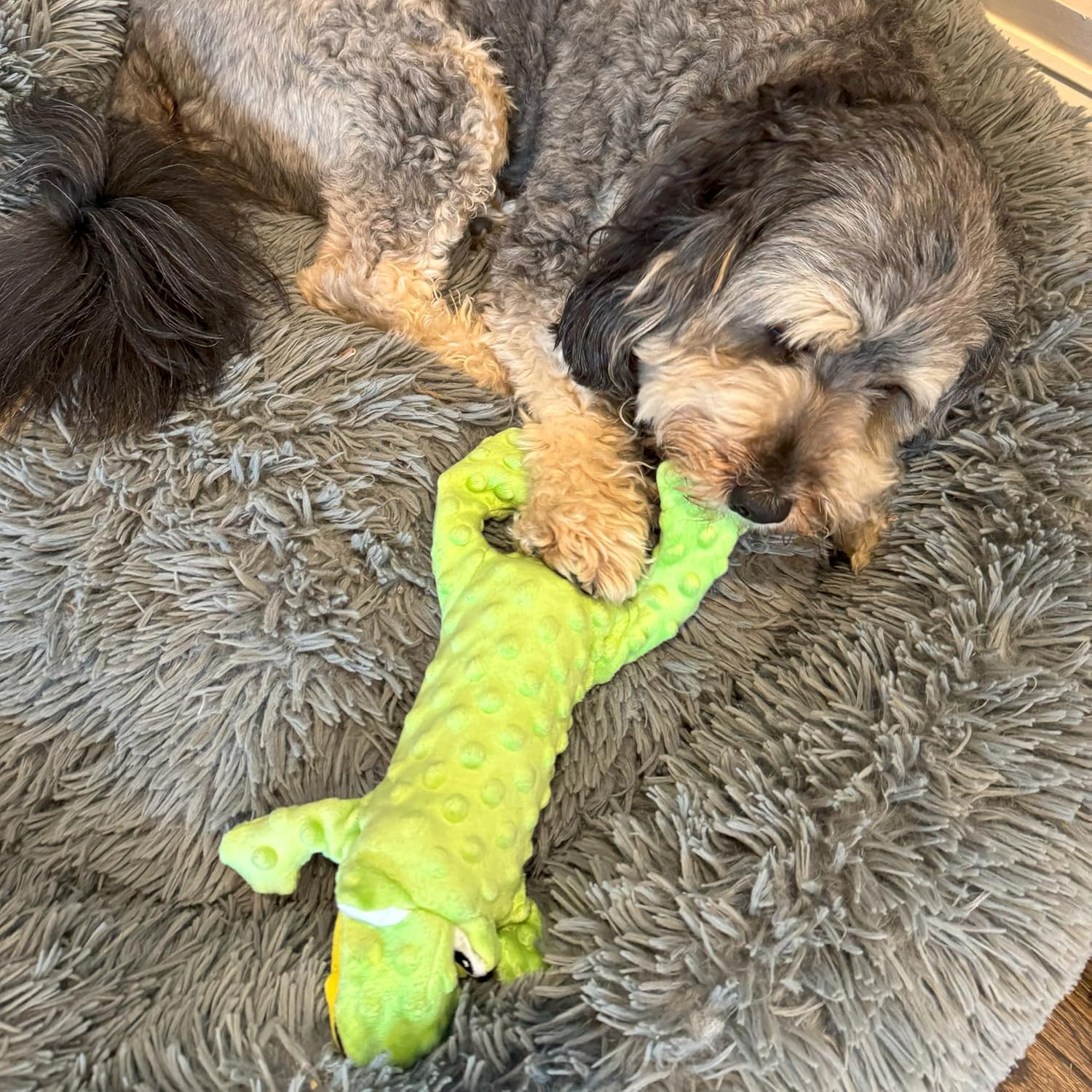 SKINNEEEZ EXTREME STUFFER FROG - Image 6