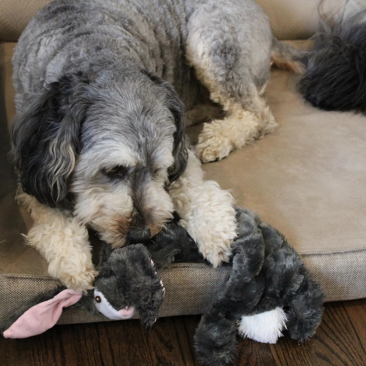 Skinneeez Tons-O-Squeakers Rabbit Dog Toy - with 19 Squeakers for Tons-O-Fun! Stuffing-Free Design is Great for Moderate Chewers, Tug Toy for Medium to Large Puppies & Dogs - 20in Color May Vary - Image 5