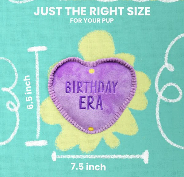 Snugarooz Birthday Era Dog Toy 7.5" - Image 10