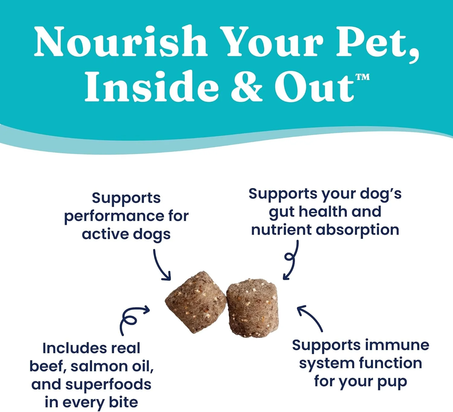 Solid Gold Healthy Dog Treats - Functional Treats for Training + Gut Health - Beef with Salmon Oil Healthy Training Treats for Dogs 5.2-oz - Image 2