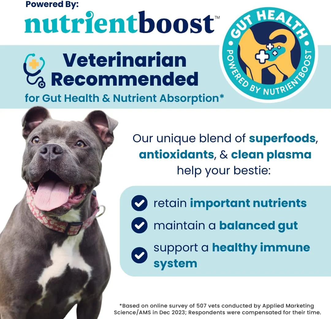 Solid Gold Healthy Dog Treats - Functional Treats for Training + Gut Health - Beef with Salmon Oil Healthy Training Treats for Dogs 5.2-oz - Image 6