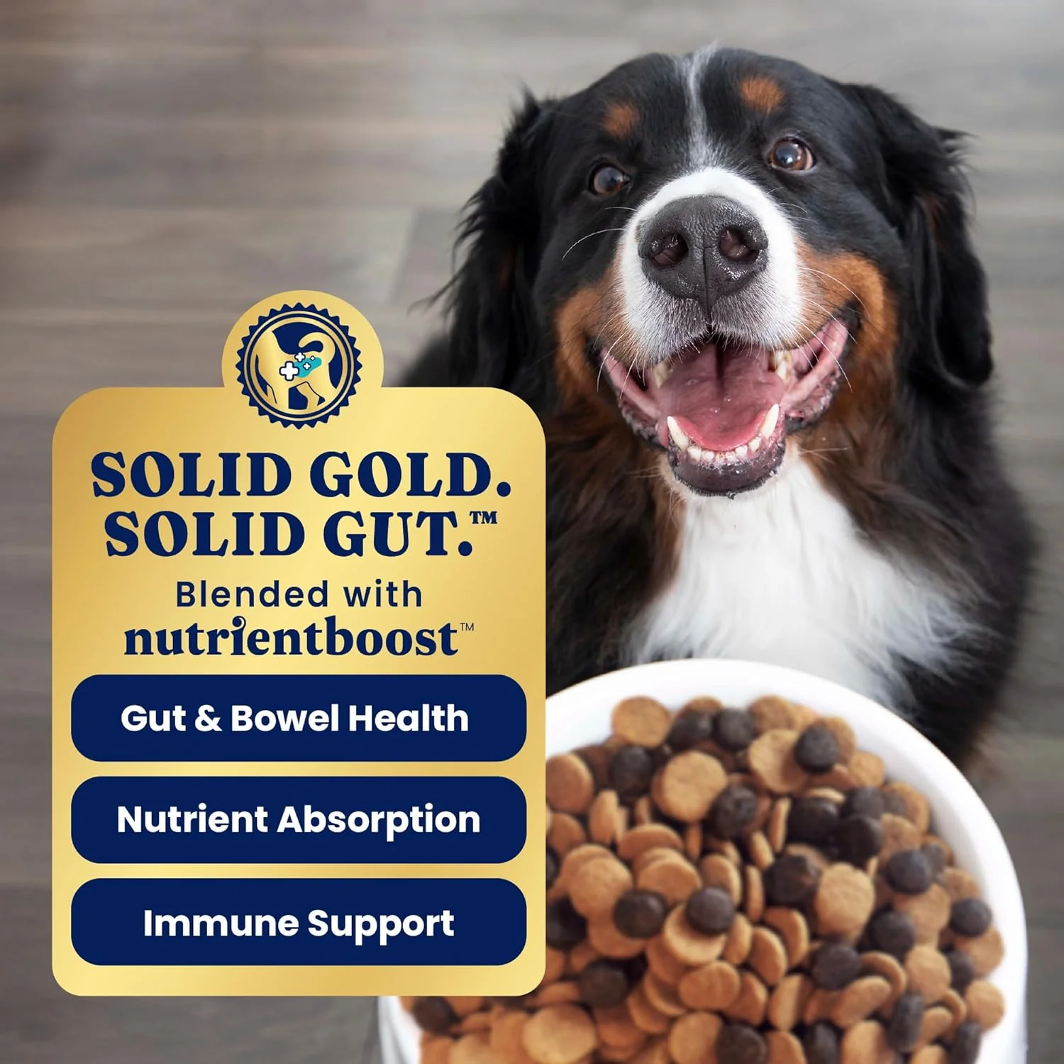 Solid Gold Large Breed Puppy Dog Food Dry Kibble - High Protein Dry Puppy Food for Large Breed Dogs w/Real Bison, Healthy Whole Grain & Probiotics for Gut Health & Digestion - Nutrientboost 22-lb - Image 4
