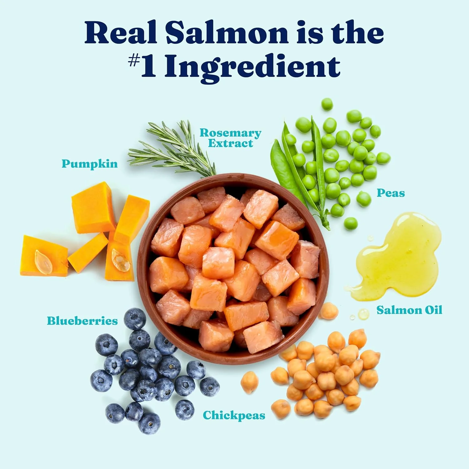 Solid Gold Salmon Dog Food for Sensitive Stomachs – Grain Free & Gluten Free Kibble w/Probiotics to Support Gut Health & Digestion - Sensitive Stomach Dog Food for All Ages – Nutrientboost™ 22-lb - Image 3