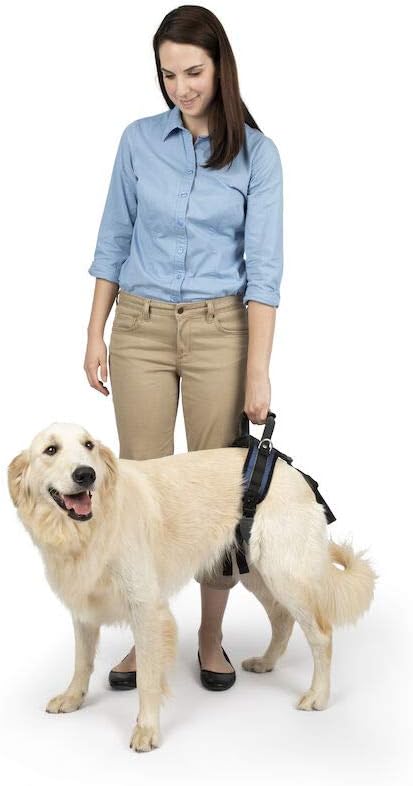 Solvit Product PetSafe CareLift Rear Support Harness - Lifting Aid with Handle and Shoulder Strap - Fits Waist Measuring 27-37 inches, Dog Weight 70lb-130lb, Large, Black - Image 2