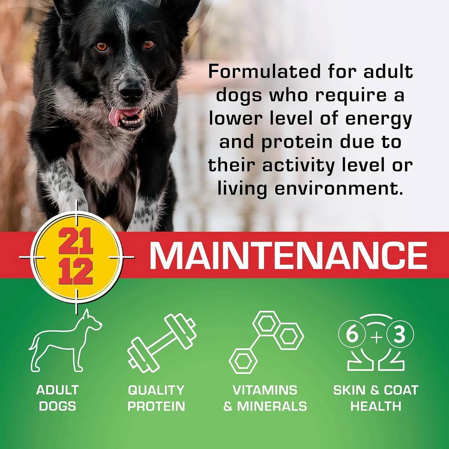 SPORTMiX Maintenance Dry Adult Dog Food, 50 lbs. - Image 3