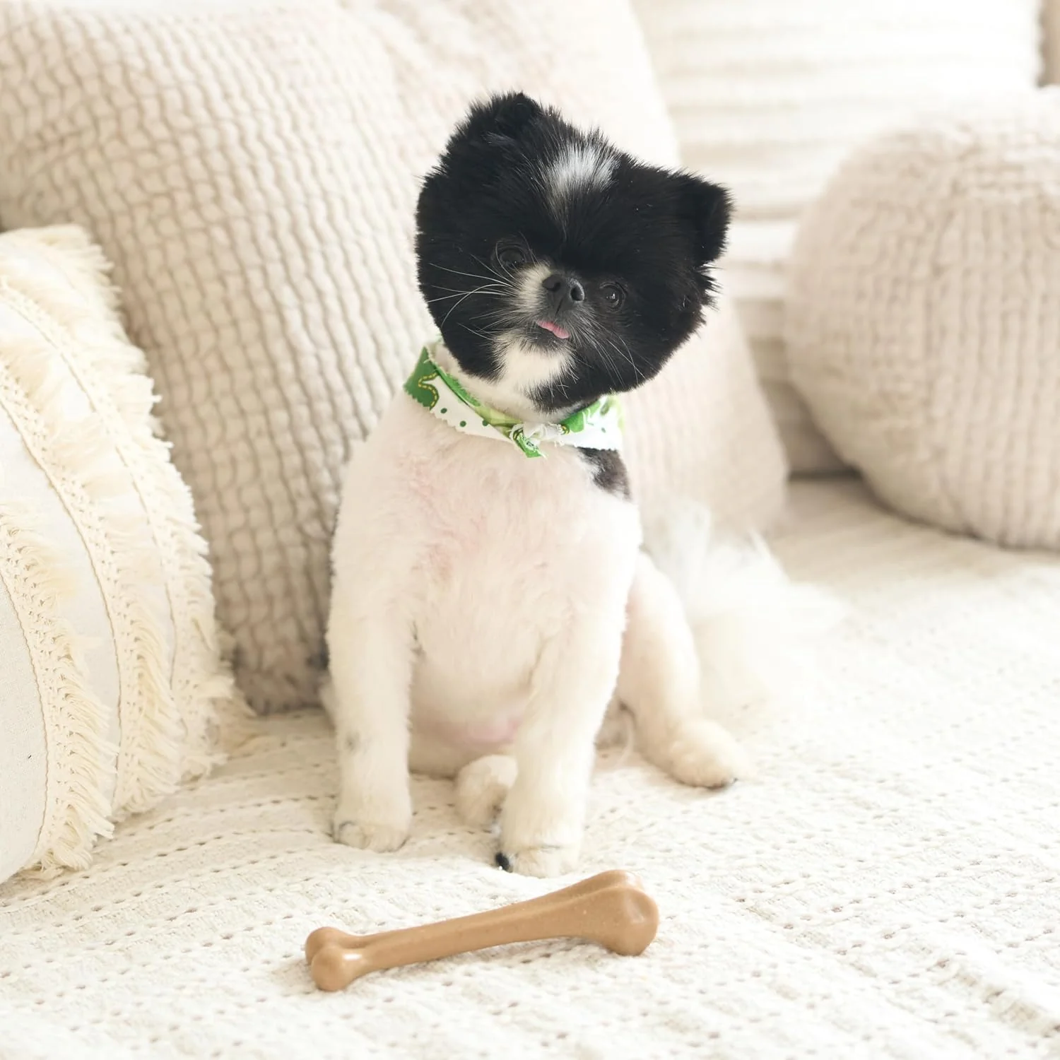 SPOT Bam-Bones Bone - Made with Strong Bamboo Fiber, Durable Long Lasting Dog Chew for Light to Moderate Chewers, Great Toy for Adult Dogs & Teething Puppies under 25lbs, Chicken Flavor - Image 4