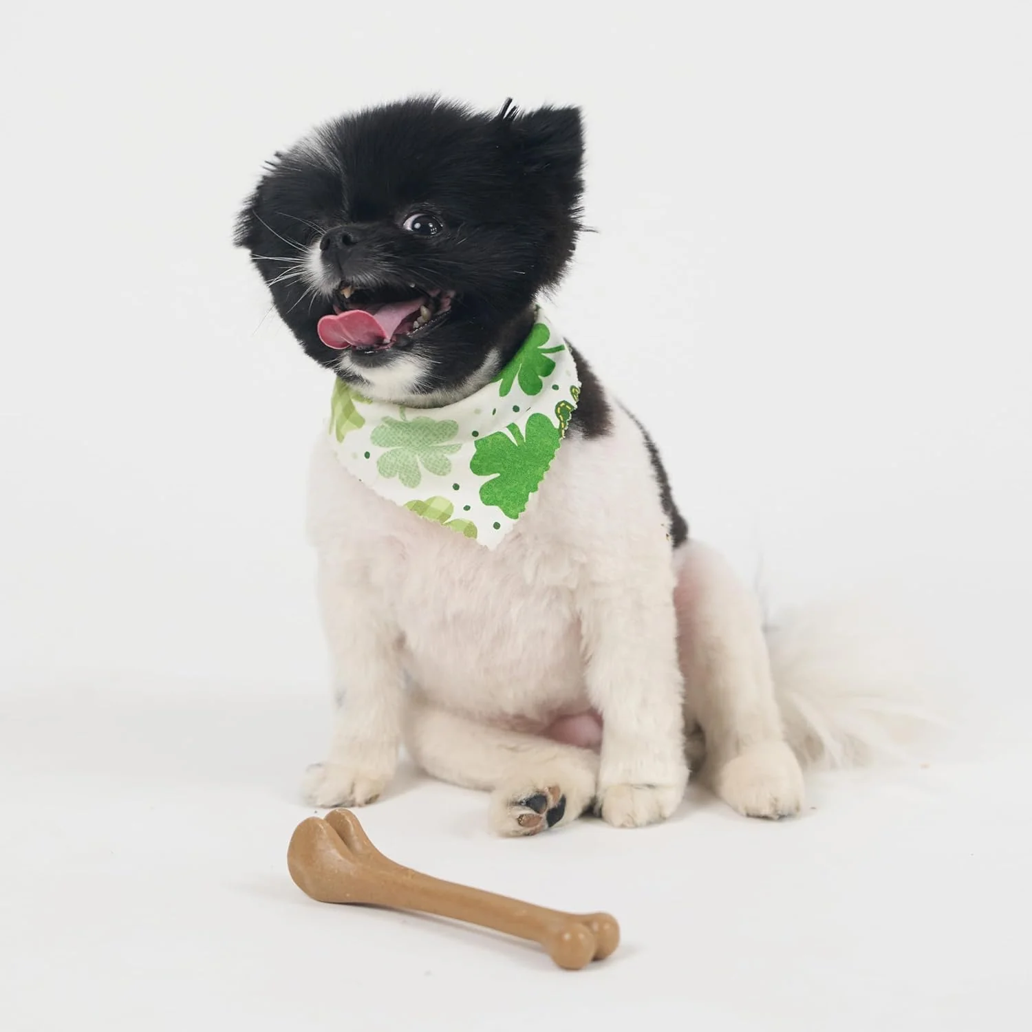 SPOT Bam-Bones Bone - Made with Strong Bamboo Fiber, Durable Long Lasting Dog Chew for Light to Moderate Chewers, Great Toy for Adult Dogs & Teething Puppies under 25lbs, Chicken Flavor - Image 5