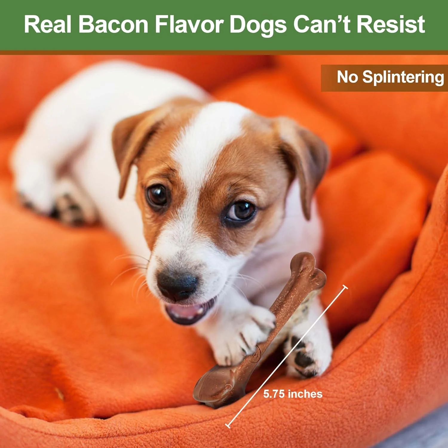 SPOT Bam-Bones Bone - Made with Strong Bamboo Fiber, Durable Long Lasting Dog Chew for Light to Moderate Chewers, Great Toy for Adult Dogs & Teething Puppies Under 25lbs, Bacon Flavor - Image 4