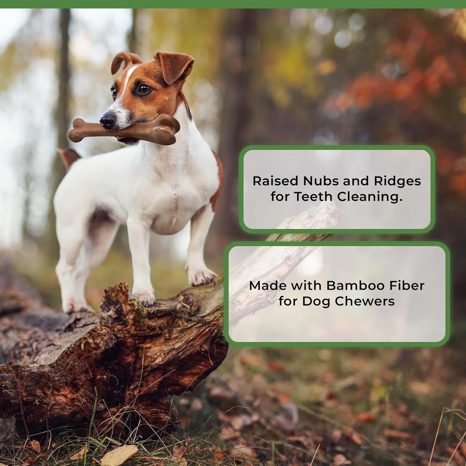 SPOT Bam-Bones Bone - Made with Strong Bamboo Fiber, Durable Long Lasting Dog Chew for Light to Moderate Chewers, Great Toy for Adult Dogs & Teething Puppies Under 25lbs, Bacon Flavor - Image 7
