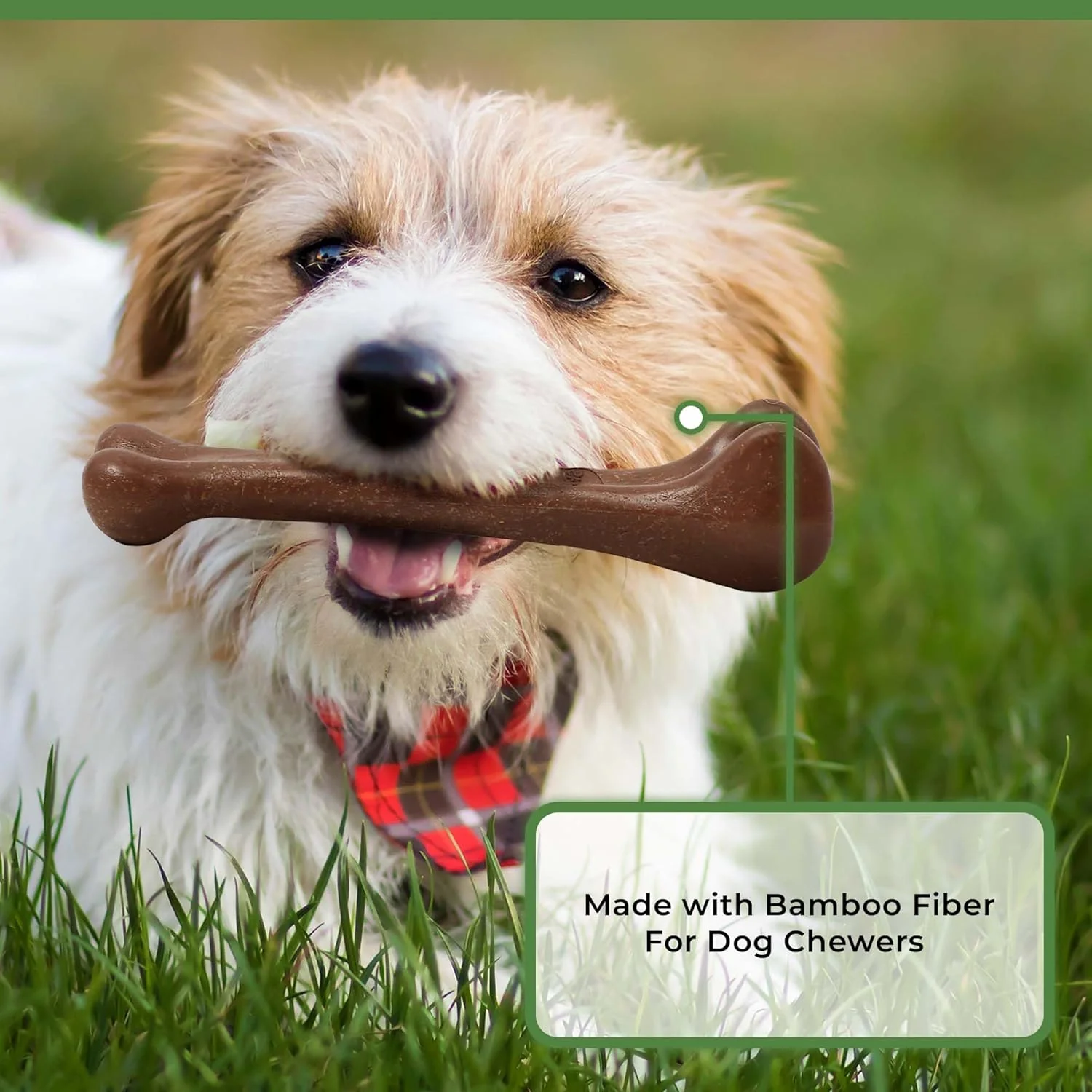 SPOT Bam-Bones Bone - Made with Strong Bamboo Fiber, Durable Long Lasting Dog Chew for Light to Moderate Chewers, Great Toy for Adult Dogs & Teething Puppies Under 25lbs, Bacon Flavor - Image 9