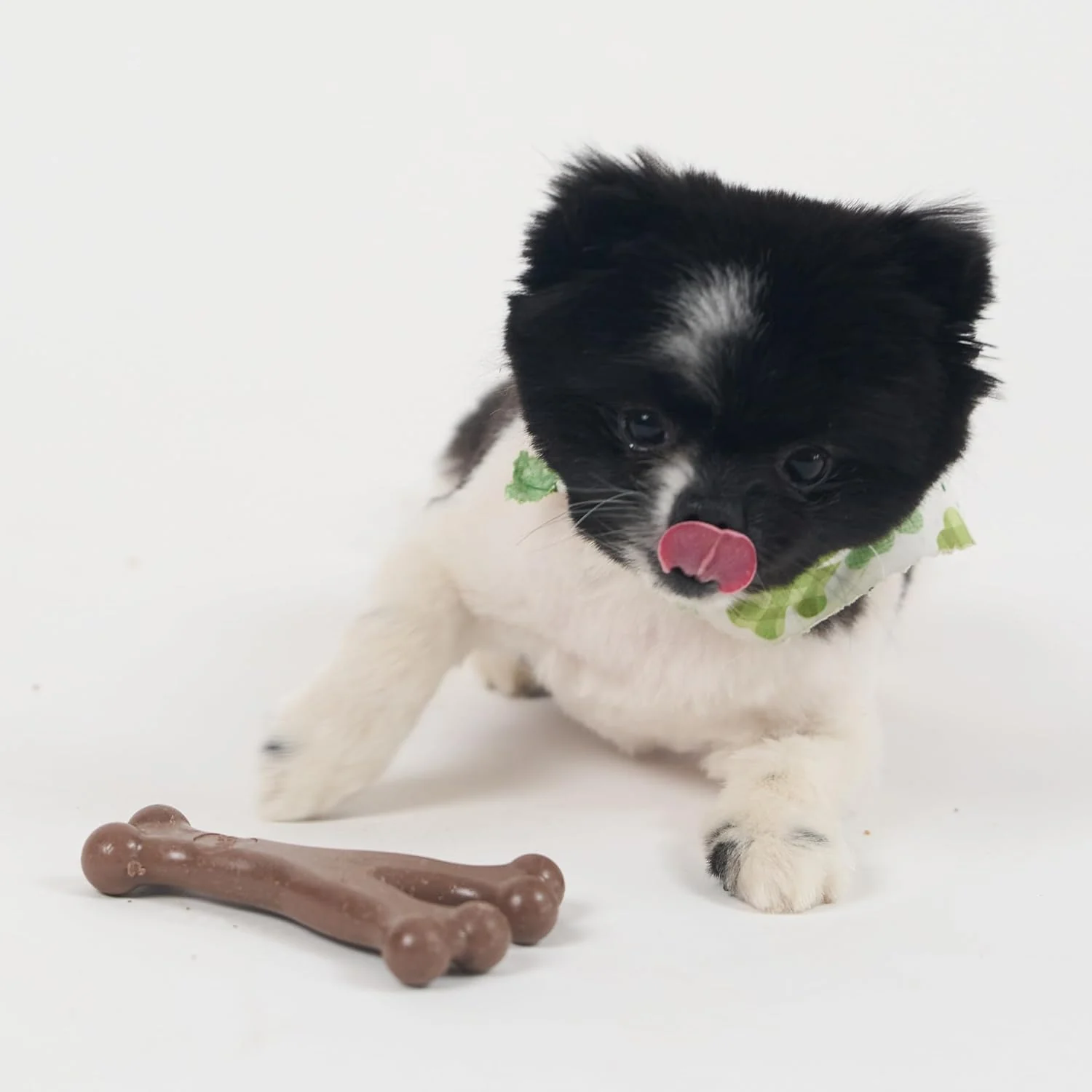 SPOT Bam-Bones Wishbone - Made with Strong Bamboo Fiber, Durable Long Lasting Dog Chew for Light to Moderate Chewers, Great Toy for Adult Dogs & Teething Puppies Under 30lbs - Image 13