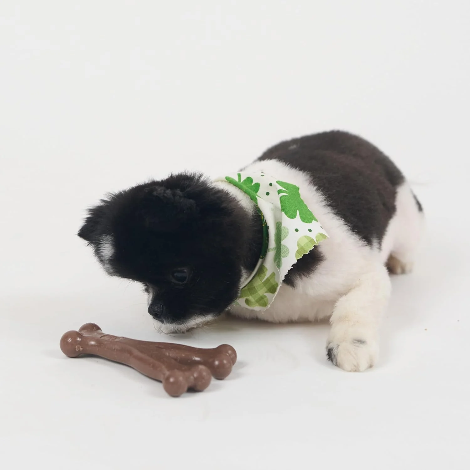 SPOT Bam-Bones Wishbone - Made with Strong Bamboo Fiber, Durable Long Lasting Dog Chew for Light to Moderate Chewers, Great Toy for Adult Dogs & Teething Puppies Under 30lbs - Image 8