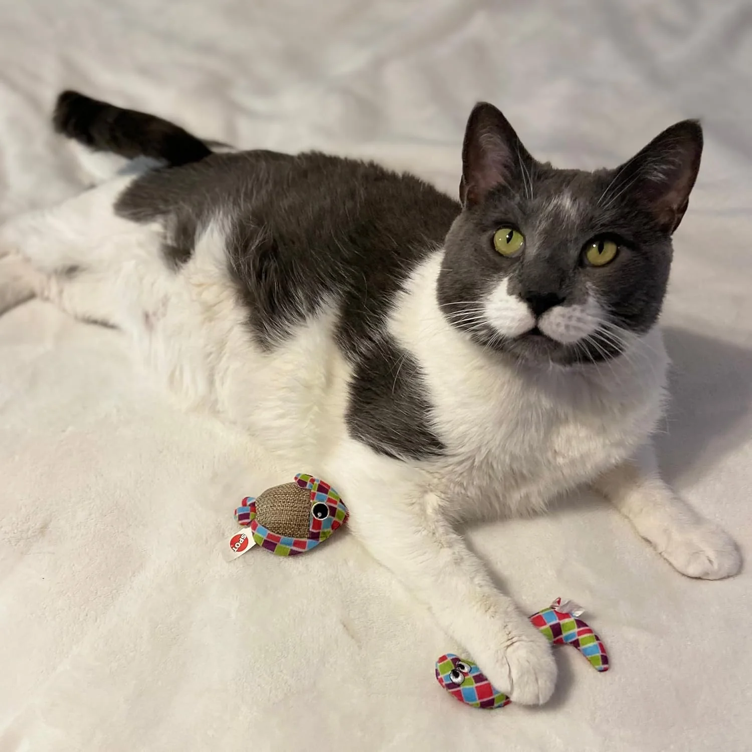 SPOT Catch N' Release Cat Toy with Irresistible Texture and Catnip, Indoor Cat Essentials, for Cats and Kittens, 2 Assorted Figures - Image 6