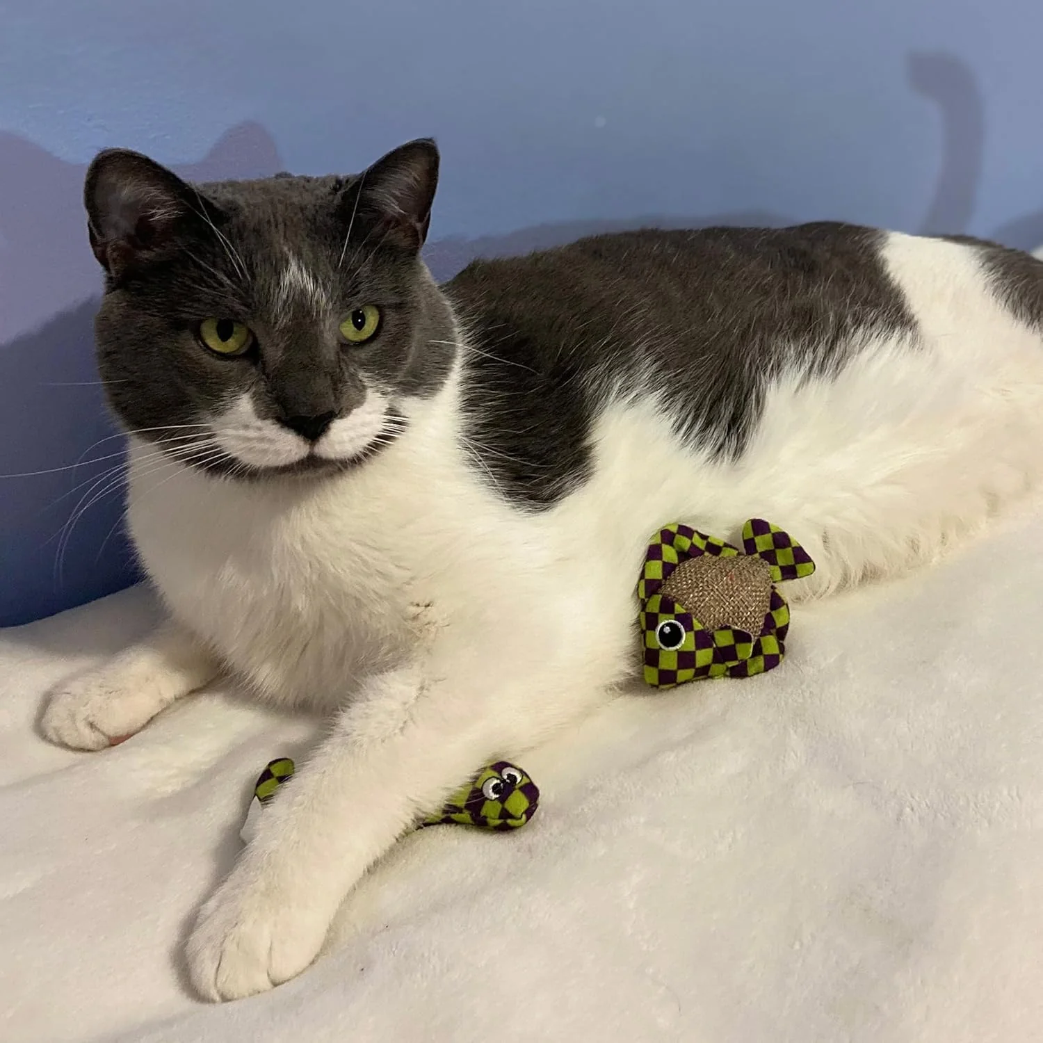 SPOT Catch N' Release Cat Toy with Irresistible Texture and Catnip, Indoor Cat Essentials, for Cats and Kittens, 2 Assorted Figures - Image 7