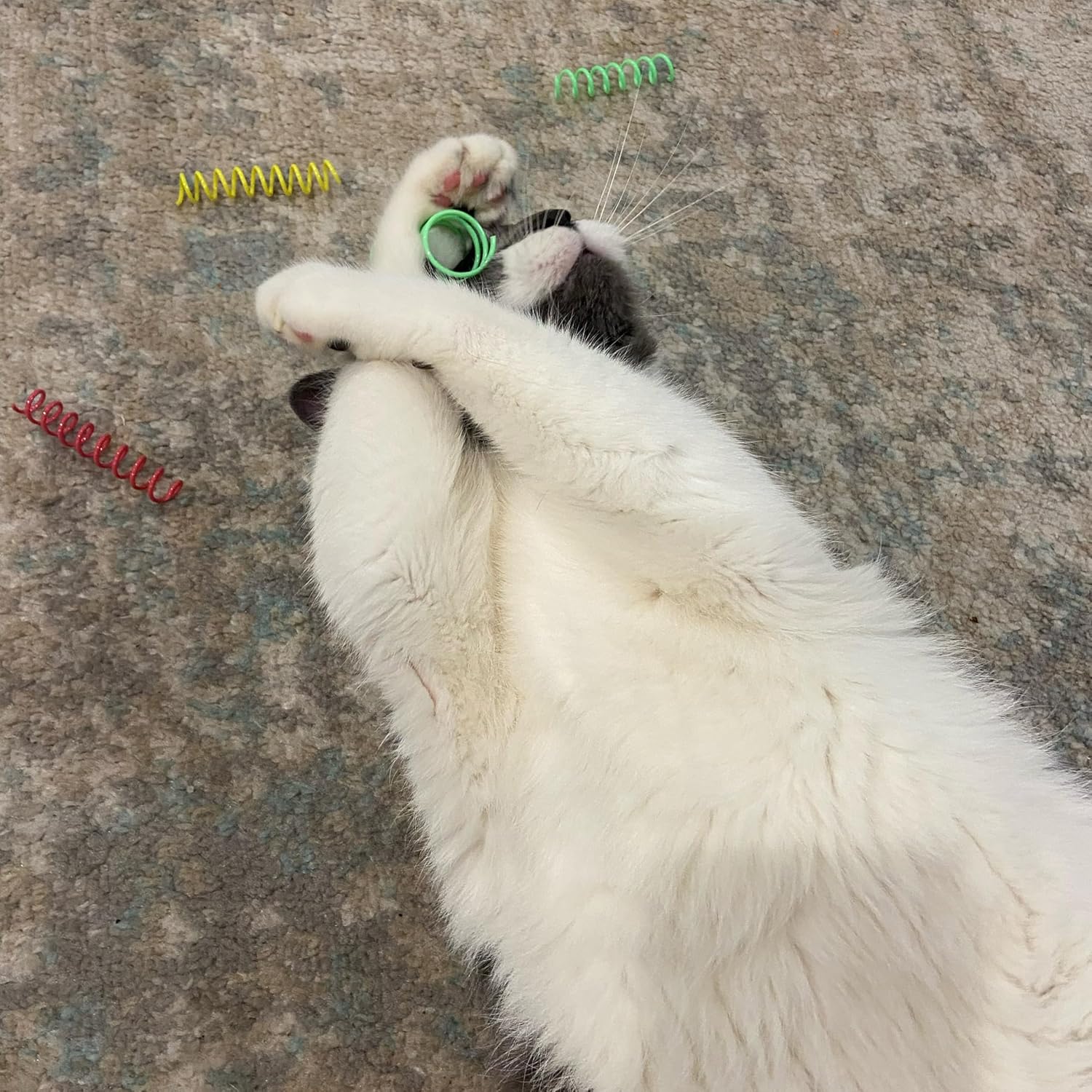 SPOT Thin Colorful Springs Cat Toys - Bouncy Coils for Medium Indoor Cat Breeds to Bite, Swat, Chase - Keeps Cats & Kittens Entertained for Hours - 3 inches Long, 10 Pcs, Multi Colors - Image 3