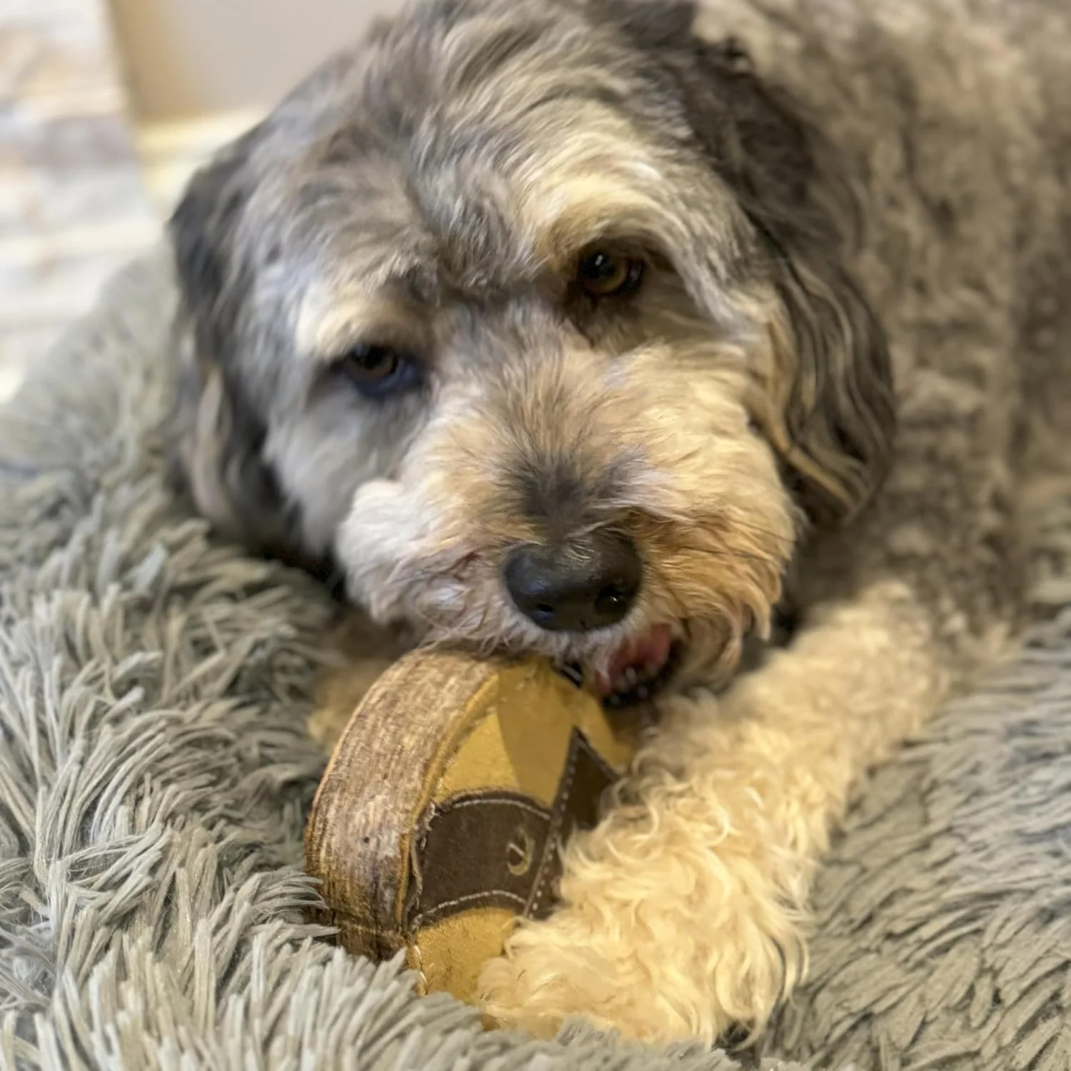 SPOT Dura-Fused Chunkies Raccoon - All Natural Leather and Felt Dog Toy - No Squeak, No Fluff, Durable, Extra Thick Dog Chew Toy for Aggressive Chewers, Great for Adult Dogs and Teething Puppies, 5in - Image 7