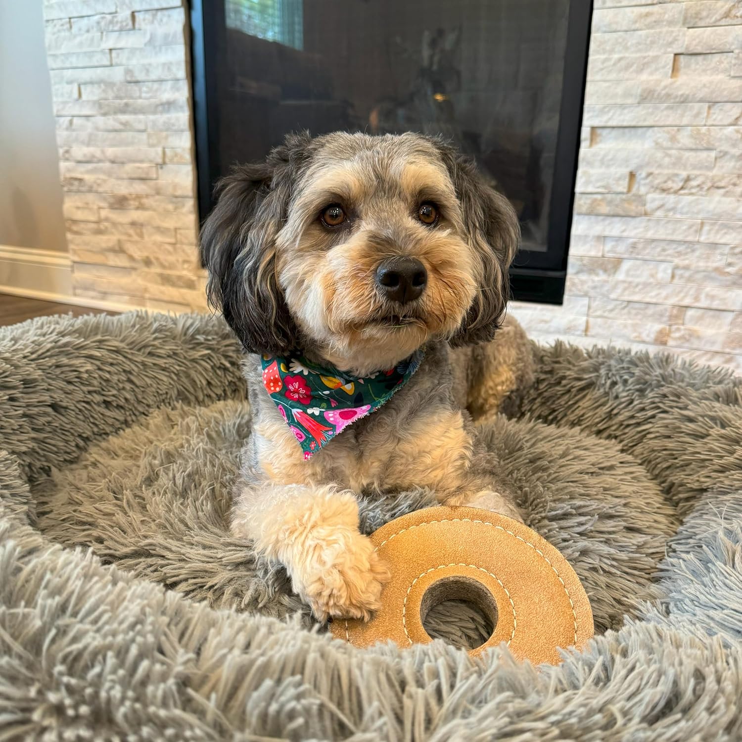 SPOT Dura-Fused Chunkies Ring - All Natural Leather and Felt Dog Toy - No Squeak, No Fluff, Durable, Extra Thick Dog Chew Toy for Aggressive Chewers, Great for Adult Dogs and Teething Puppies, 6in - Image 5