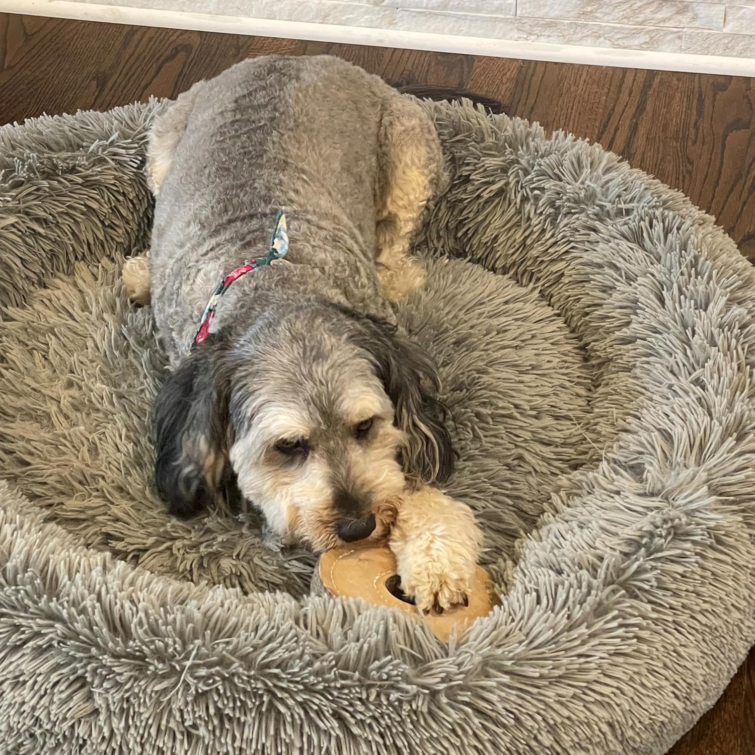 SPOT Dura-Fused Chunkies Ring - All Natural Leather and Felt Dog Toy - No Squeak, No Fluff, Durable, Extra Thick Dog Chew Toy for Aggressive Chewers, Great for Adult Dogs and Teething Puppies, 6in - Image 7