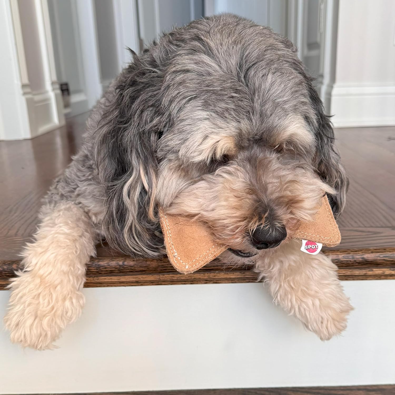 SPOT Dura-Fused Leather Bone - Dog Toy with Squeaker, Made With Real Leather and Jute Fabric, Interactive Toy for Aggressive Chewers, Durable Squeaky Toy for Dogs and Puppies, Small - 7in - Image 13