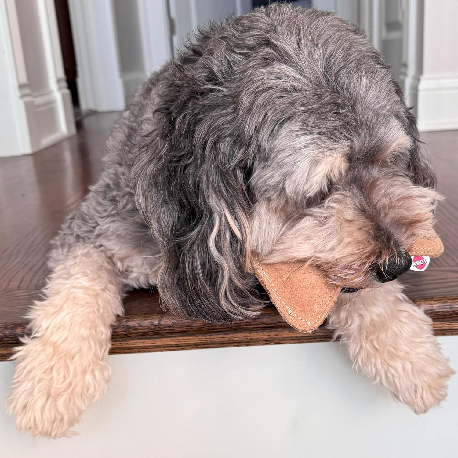 SPOT Dura-Fused Leather Bone - Dog Toy with Squeaker, Made With Real Leather and Jute Fabric, Interactive Toy for Aggressive Chewers, Durable Squeaky Toy for Dogs and Puppies, Small - 7in - Image 14