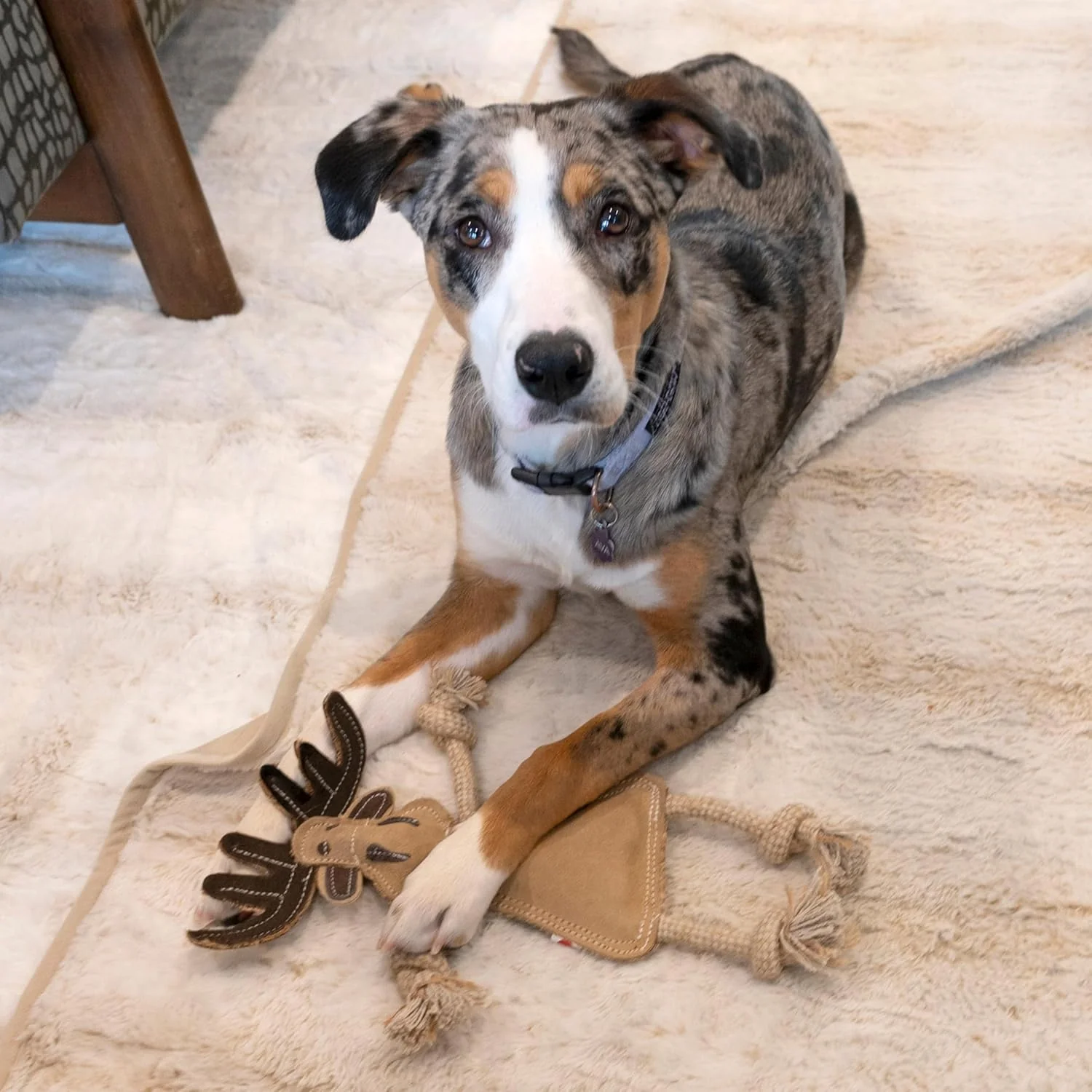 SPOT Dura-Fused Leather Forest Animals - Dog Toy with Squeaker and Rope Limbs, Real Leather and Jute Chew Toy, Durable No-Stuffing Toy For Light to Moderate Chewers - 14in, Assorted Styles, 1 Piece - Image 5