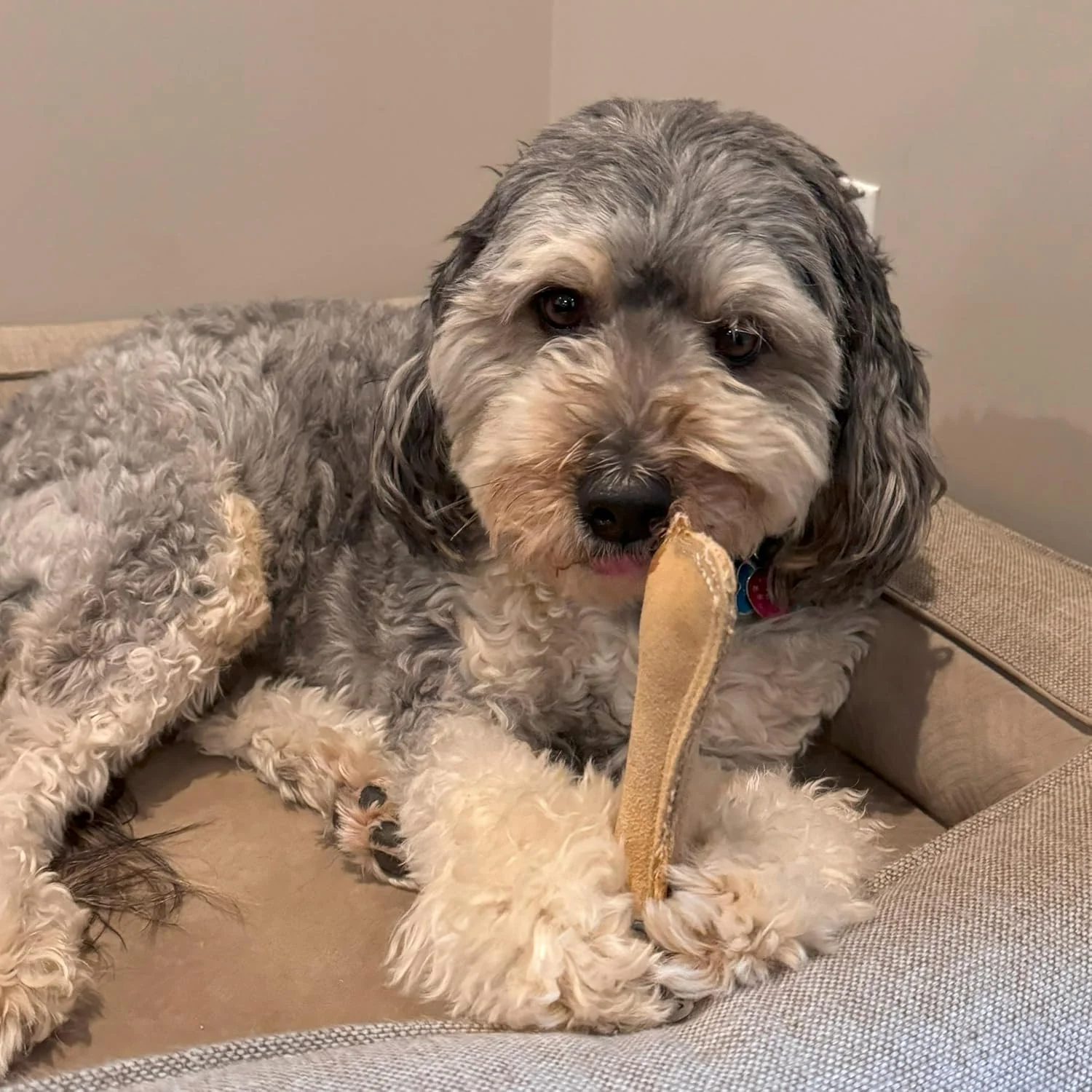 SPOT Dura-Fused Leather Small Bone – Real Leather & Jute Fabric, Double-Stitched & Durable, Squeaky Interactive Chew Toy for Moderate Chewers, Small & Medium Dogs, Soft Stuffed Fetch Toy - Image 3