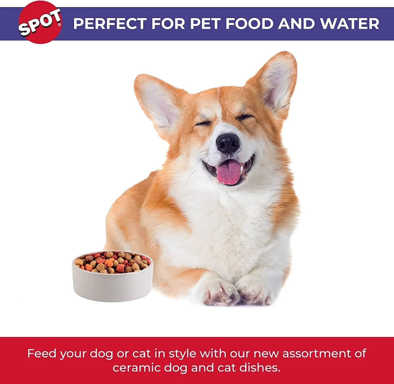 SPOT Standard Crock Dish for Small Animals - Food/Water Bowl for Small Pets, Round Ceramic Bowl with High Walls, Ideal for Birds, Small Cats, Dishwasher Safe - 4 inch, 1 Cup (8oz) - Image 3