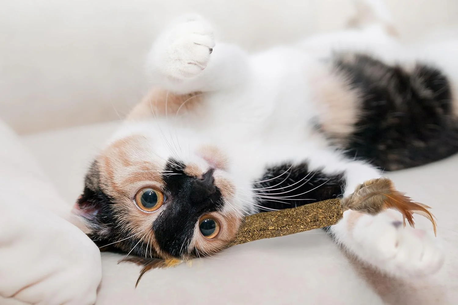 SPOT Ethical Pets Catnip Stick Cat Toy with Feathers, 12" - Image 2