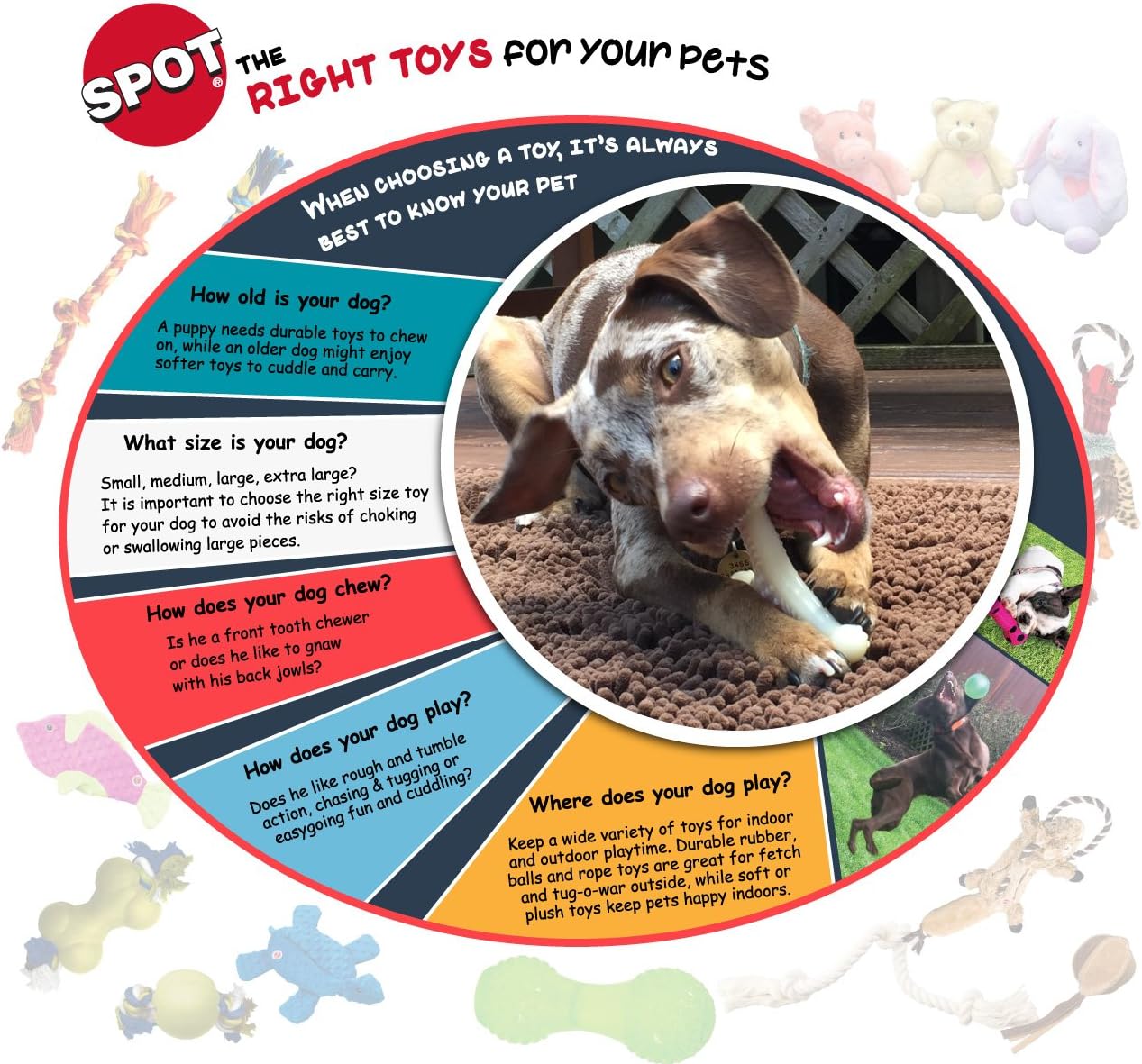 SPOT Tennis Ball Value-Pack, 6 Balls - Image 3