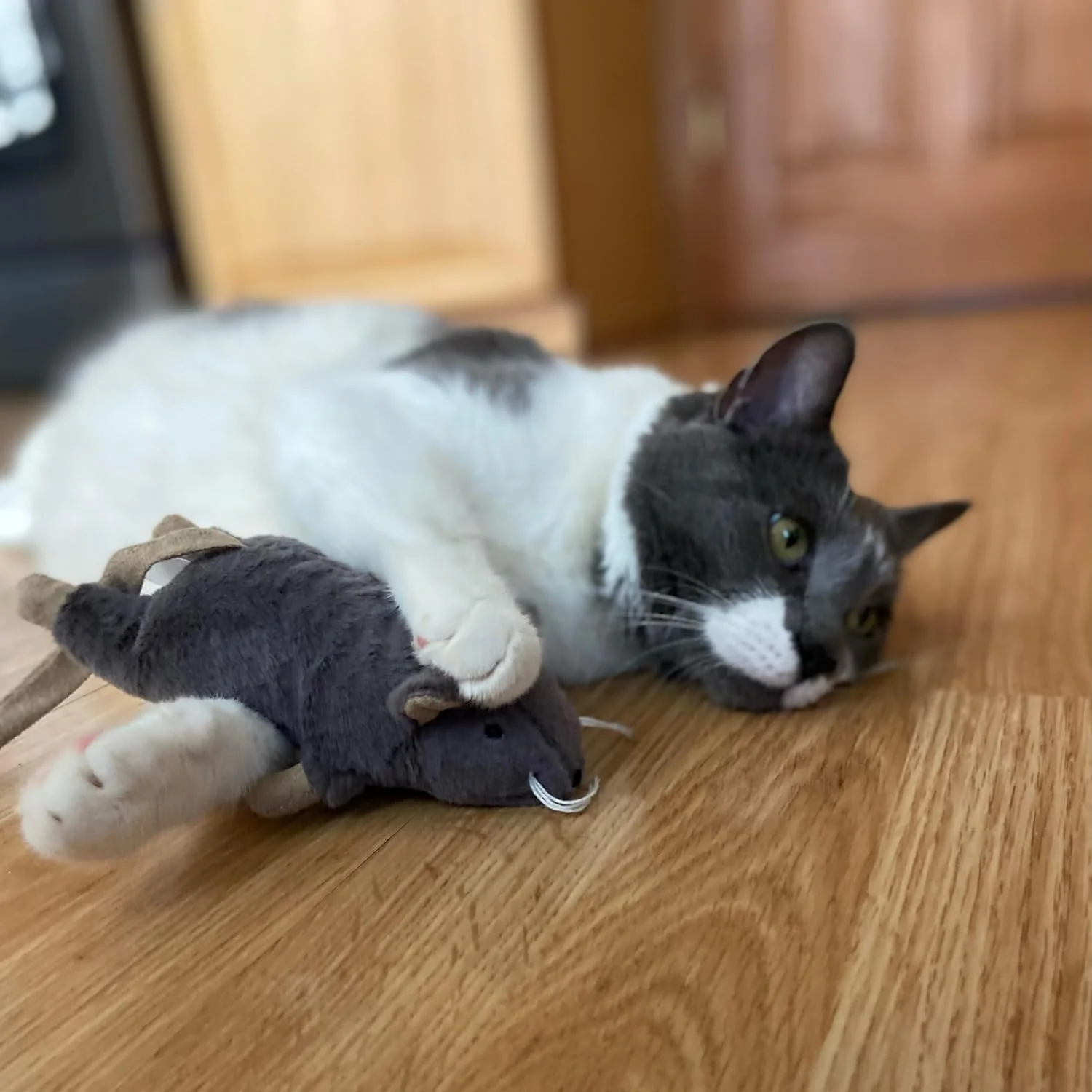 SPOT Big Mouse Bertha with Catnip - Lifelike Cat Toy, Fuzzy Mice with Catnip and Crinkle Sound, Large Size for Cuddling, Chasing, Playing - 7in Plush Toys, Assorted Colors - Image 5