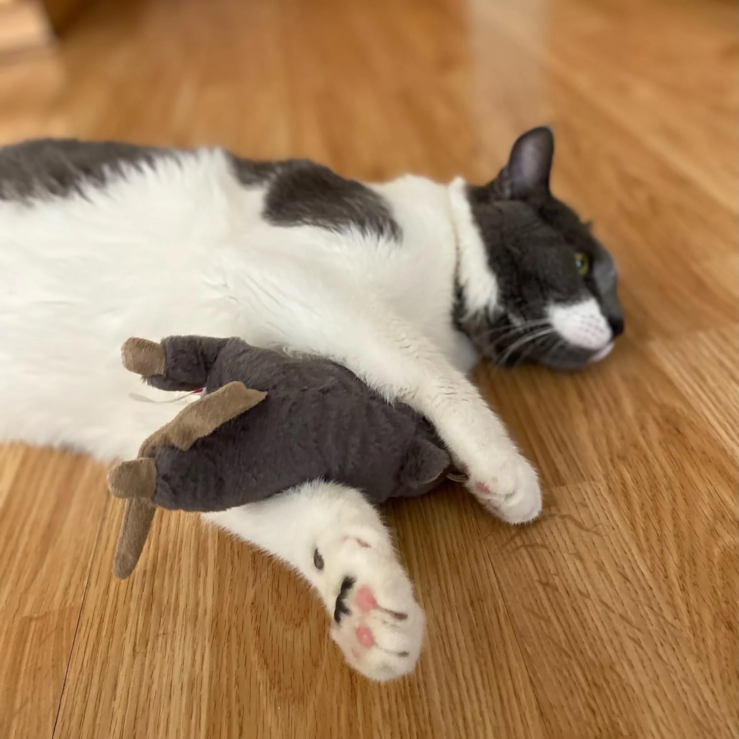 SPOT Big Mouse Bertha with Catnip - Lifelike Cat Toy, Fuzzy Mice with Catnip and Crinkle Sound, Large Size for Cuddling, Chasing, Playing - 7in Plush Toys, Assorted Colors - Image 7