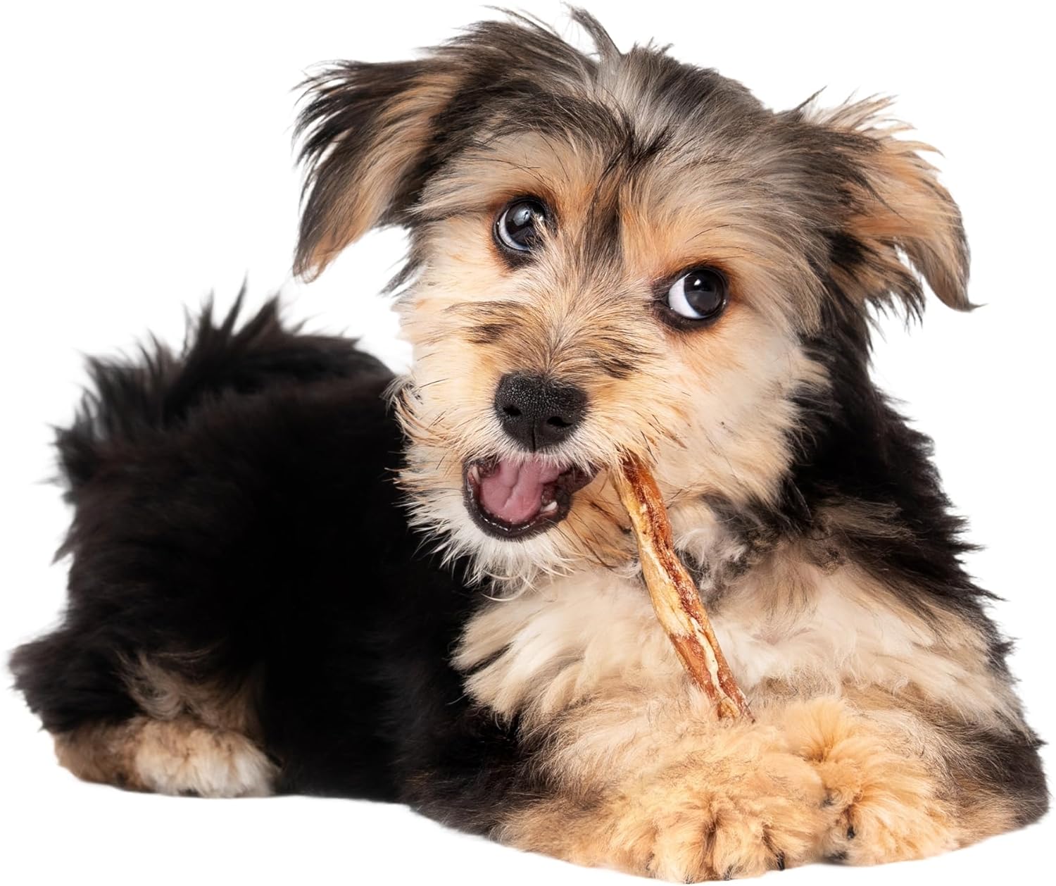 Fieldcrest Farms Nothin' to Hide Twist Stix, Beef Flavor, Easily Digestible, Supports Skin, Coat, Joints & Muscles, for Moderate Chewers Under 15lbs, 50 Pieces - Image 6