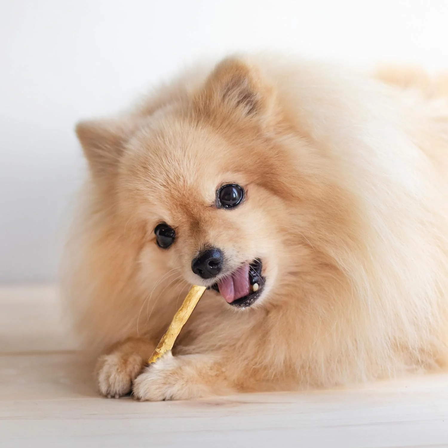 Fieldcrest Farms Nothin' to Hide Twist Stix, Beef Flavor, Easily Digestible, Supports Skin, Coat, Joints & Muscles, for Moderate Chewers Under 15lbs, 50 Pieces - Image 9