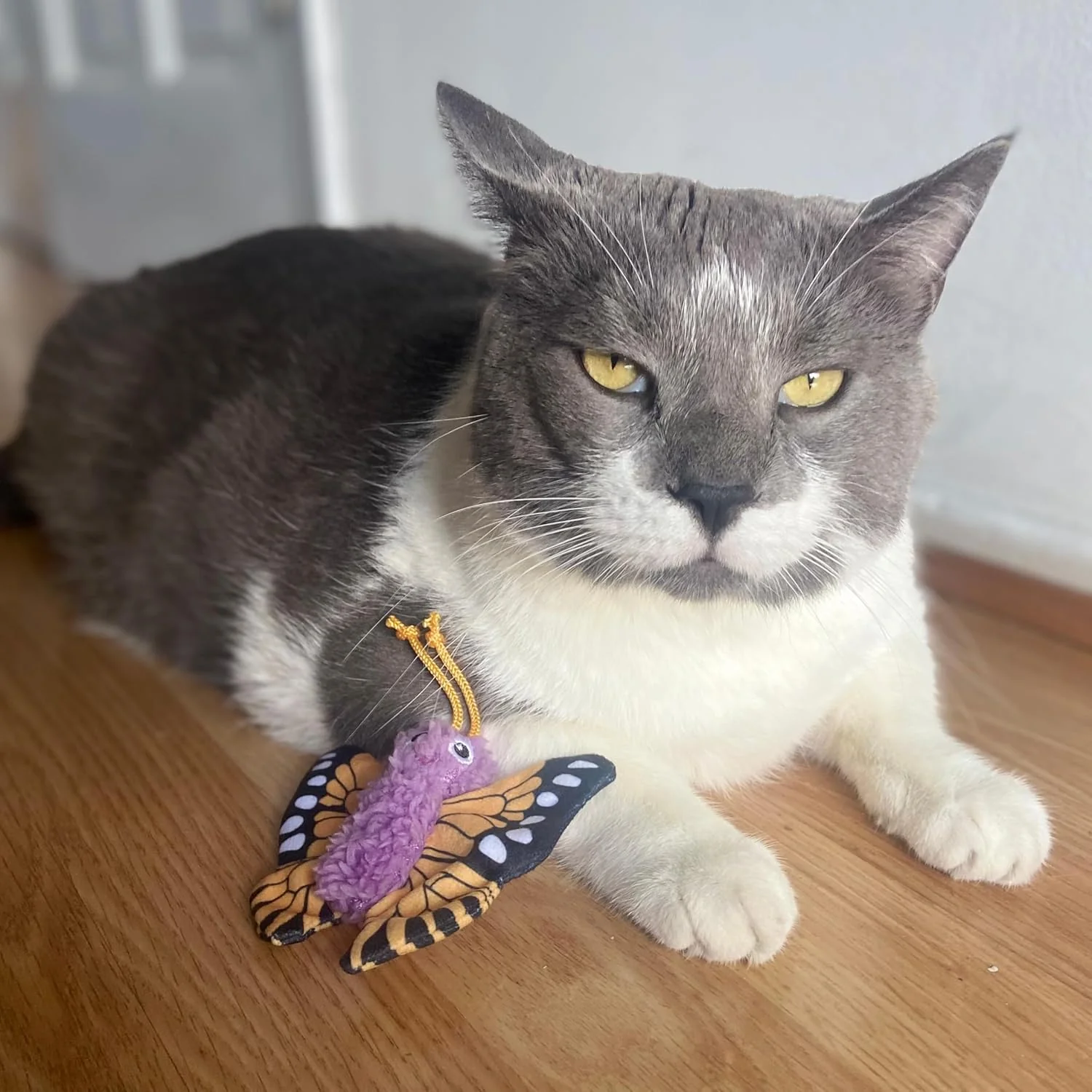 SPOT Love The Earth Butterfly Cat Toy - Eco Friendly Catnip Toy Made with Recycled Plastic Bottles, Soft, Plush, Bright Colored Classic Toy for Indoor Cats and Kittens - 4 inch, Assorted Colors - Image 6