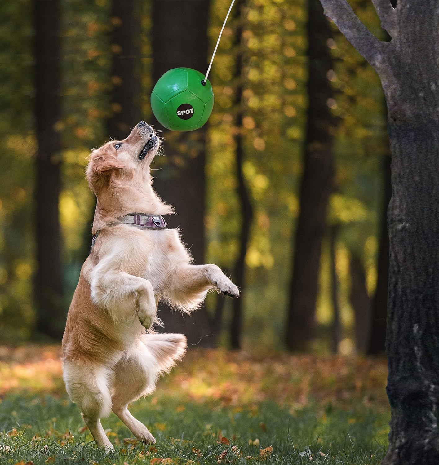 SPOT Ethical Products Tether Ball W-Rope - Image 3