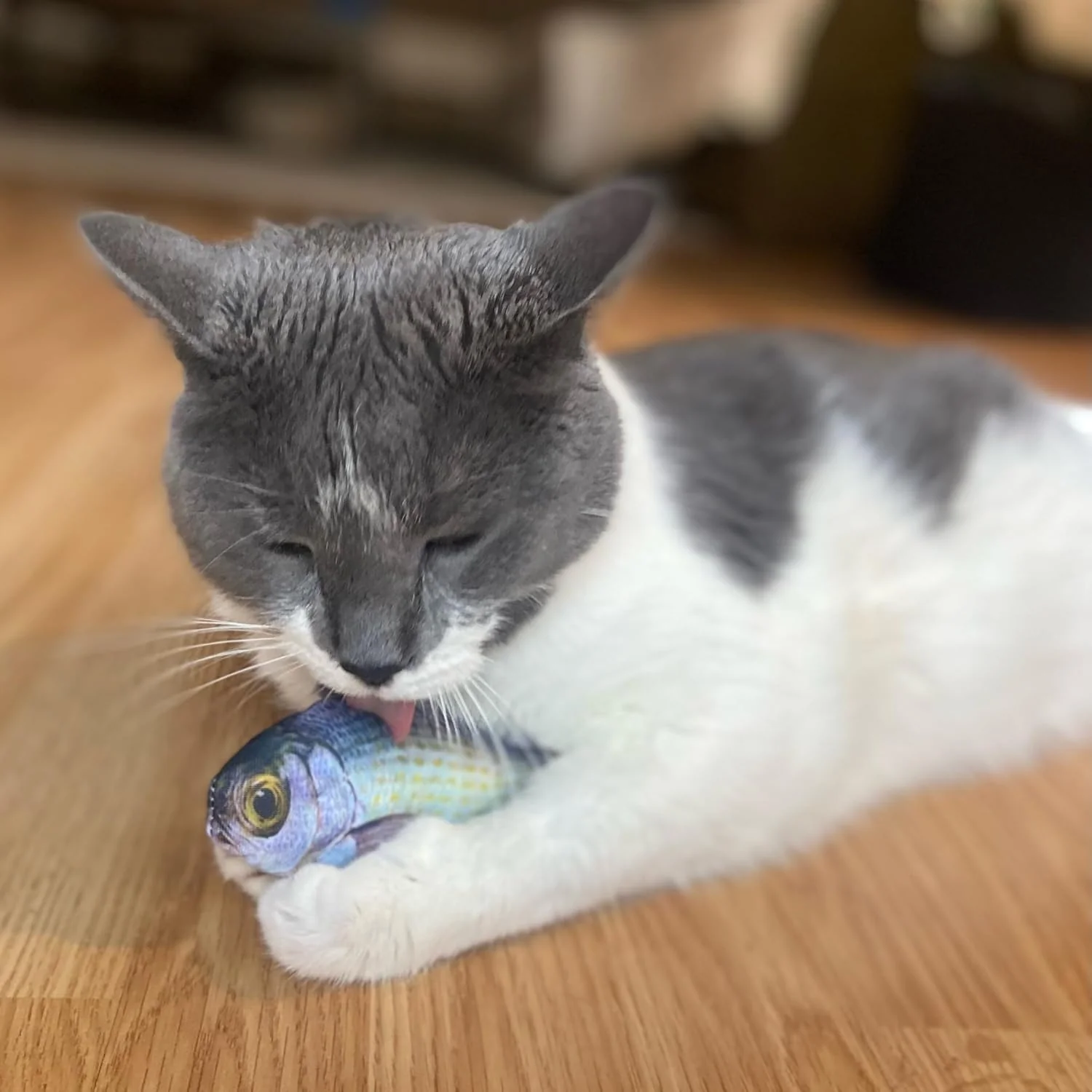 SPOT Fanatic Fish - Plush Cat Toy with Catnip and Crinkle Sound, Realistic Looking Fish Toy for Cats & Kittens to Cuddle, Chase, Hug, Kick, and Swat -6.5in, 1 Piece - Image 4